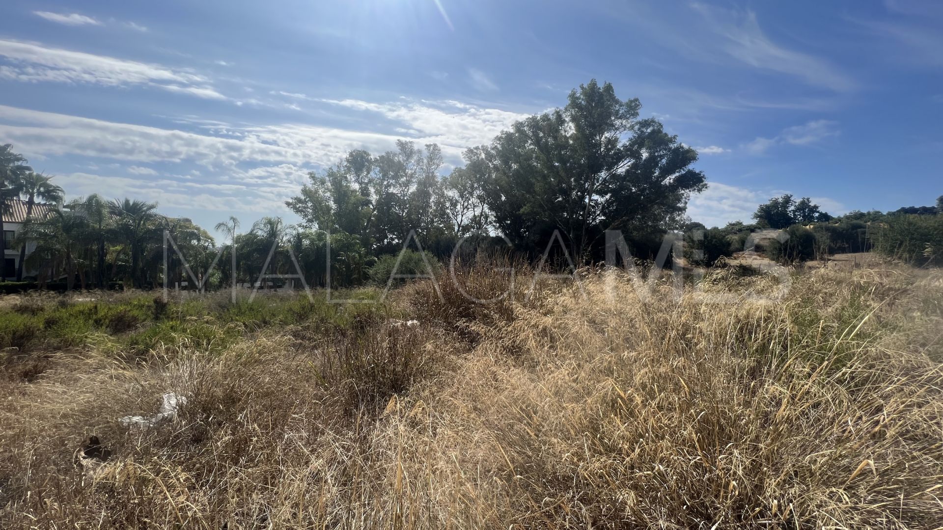 Grundstück for sale in Cancelada