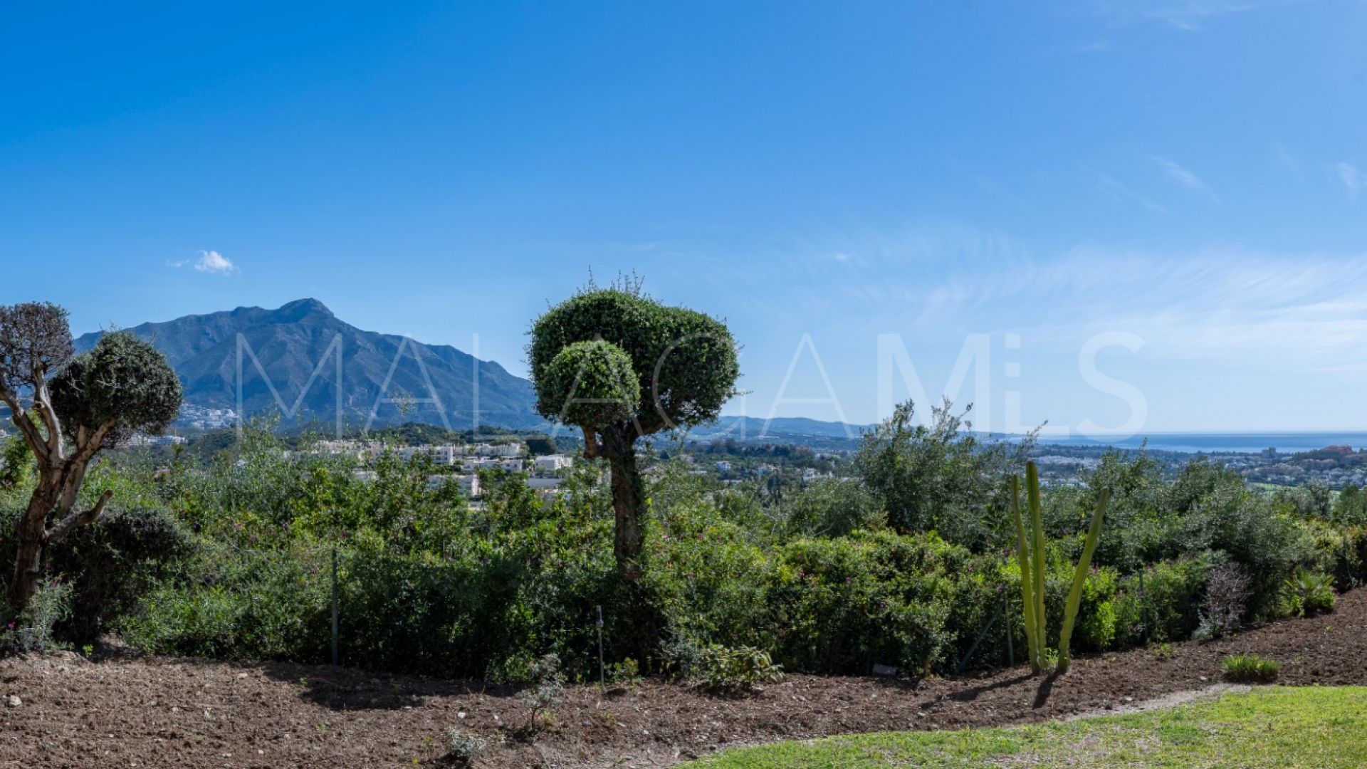 Buenavista apartment for sale