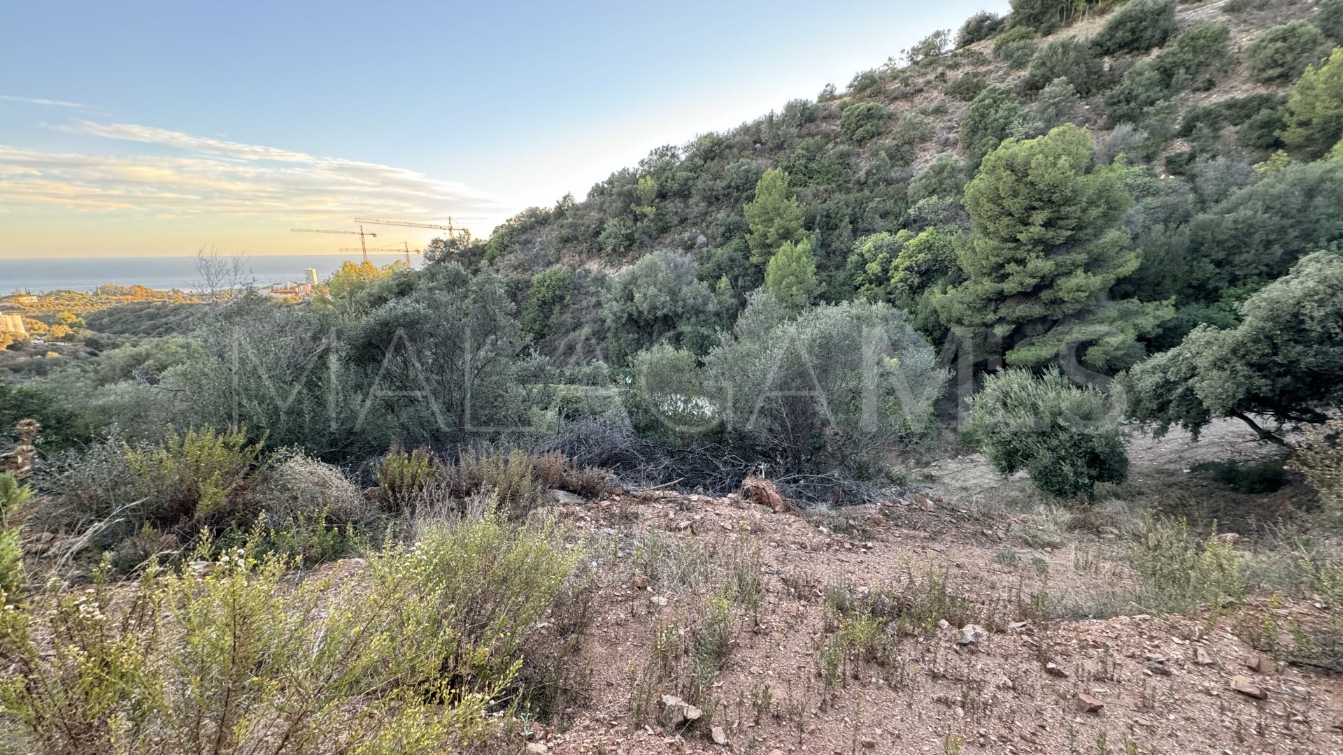 Los Altos de los Monteros, parcela a la venta