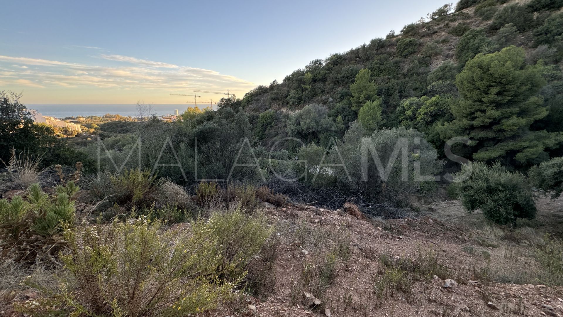 Los Altos de los Monteros, parcela a la venta