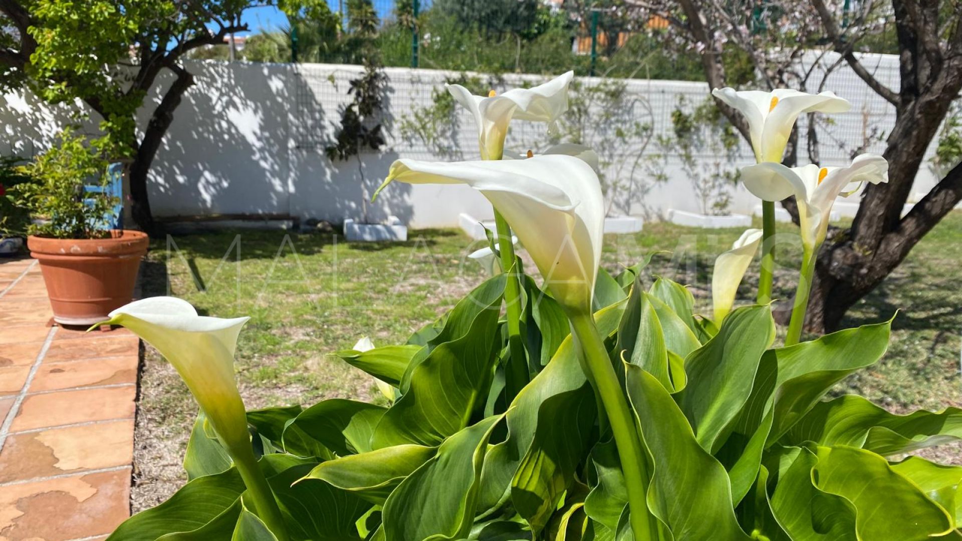 Villa for sale in Puerto Romano