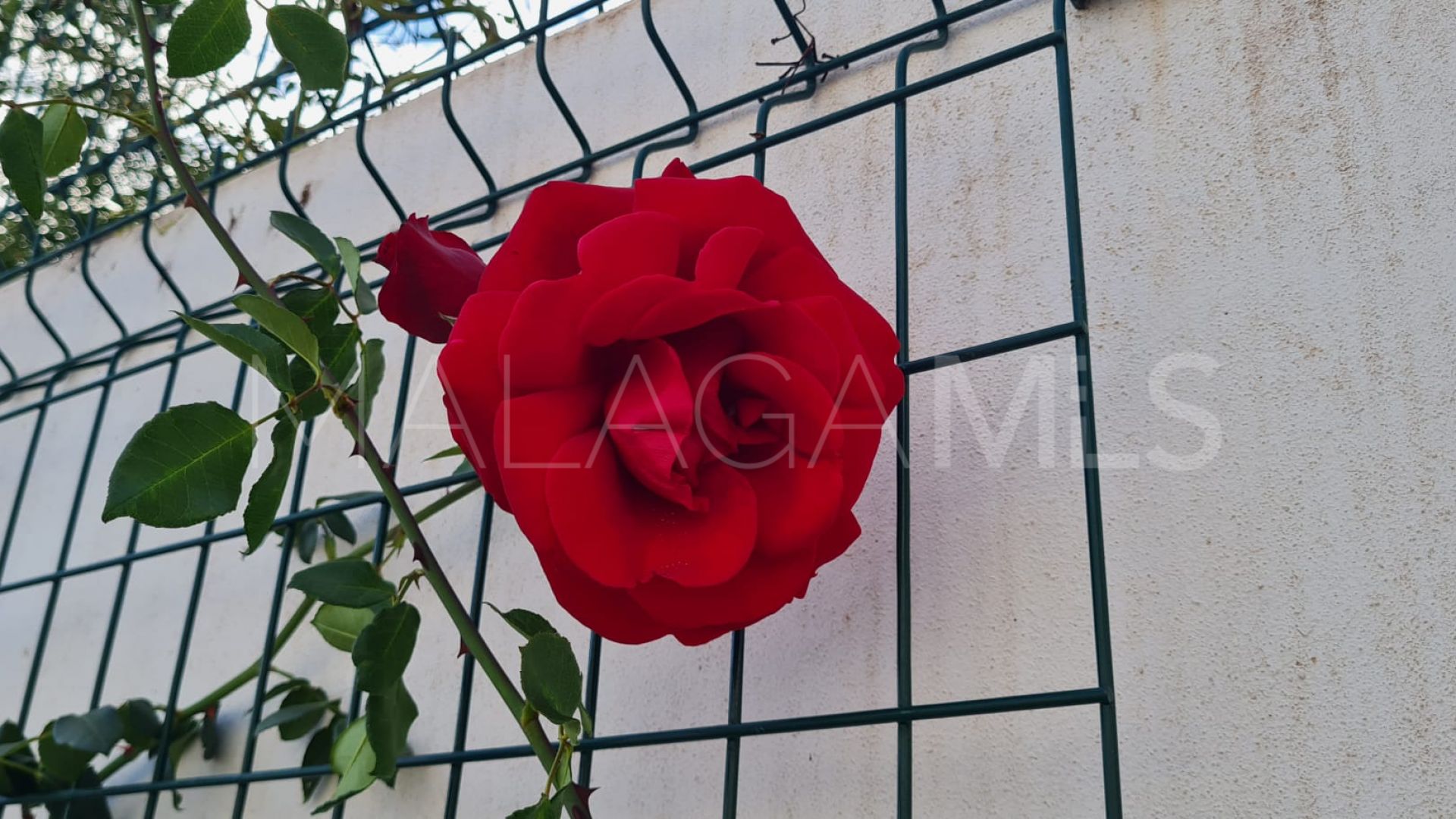 Villa for sale in Puerto Romano