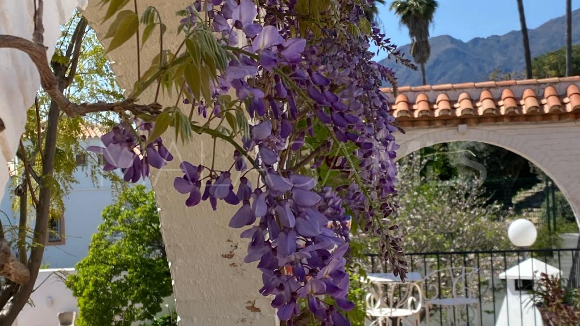 Villa for sale in Puerto Romano