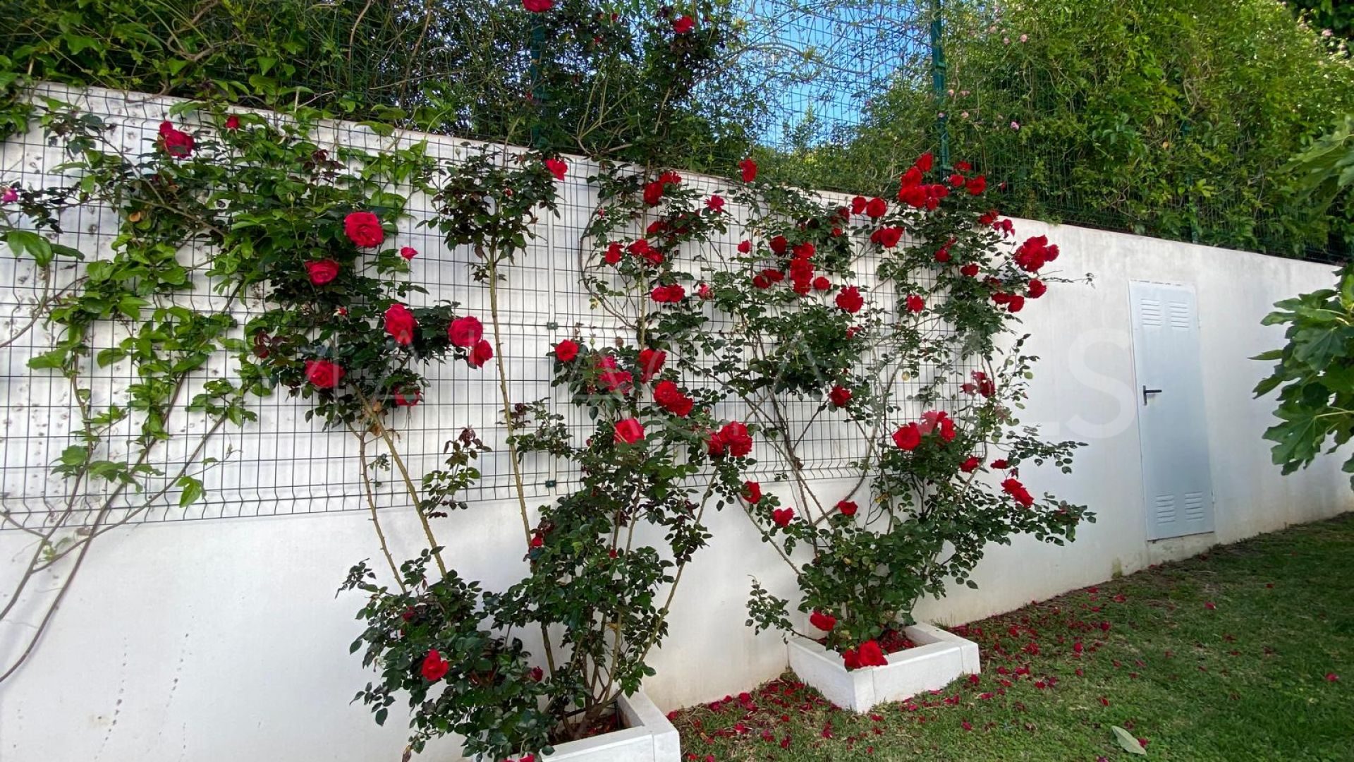 Villa for sale in Puerto Romano