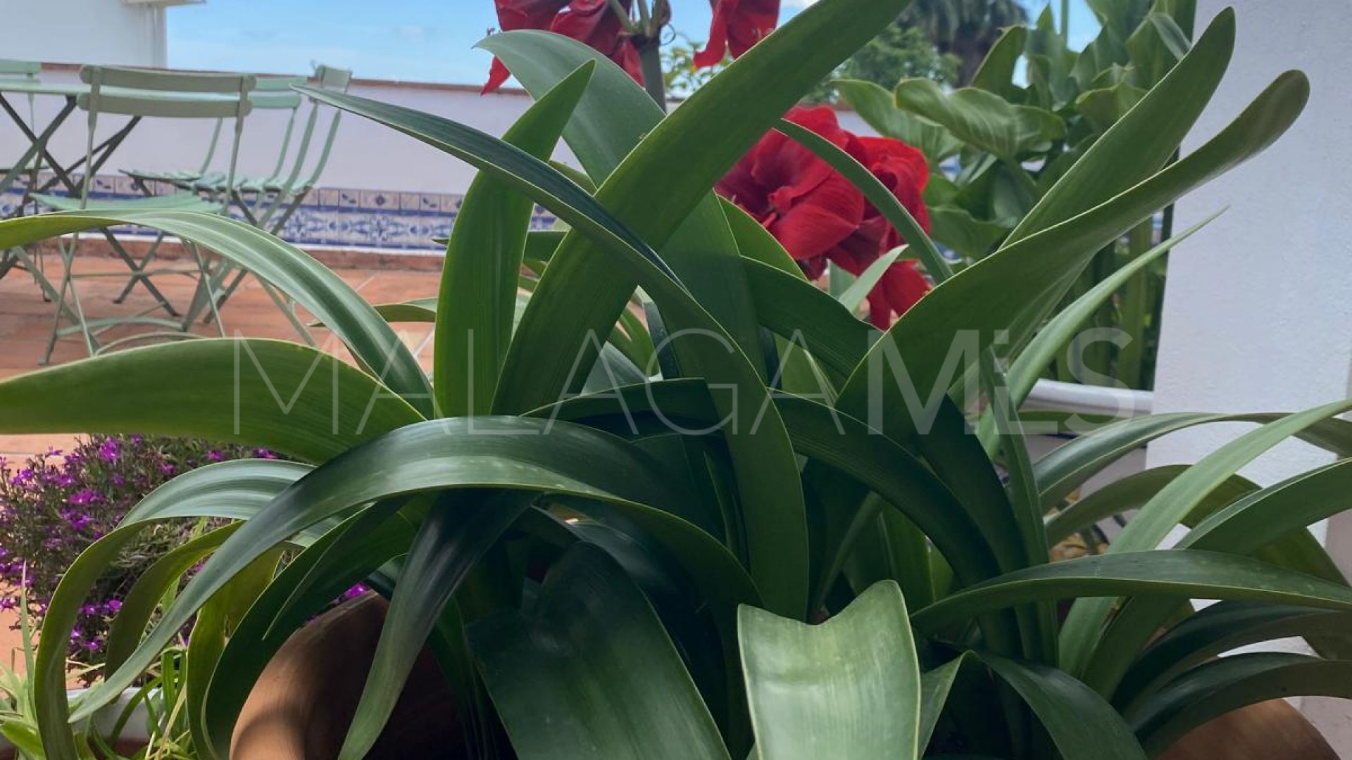 Villa for sale in Puerto Romano