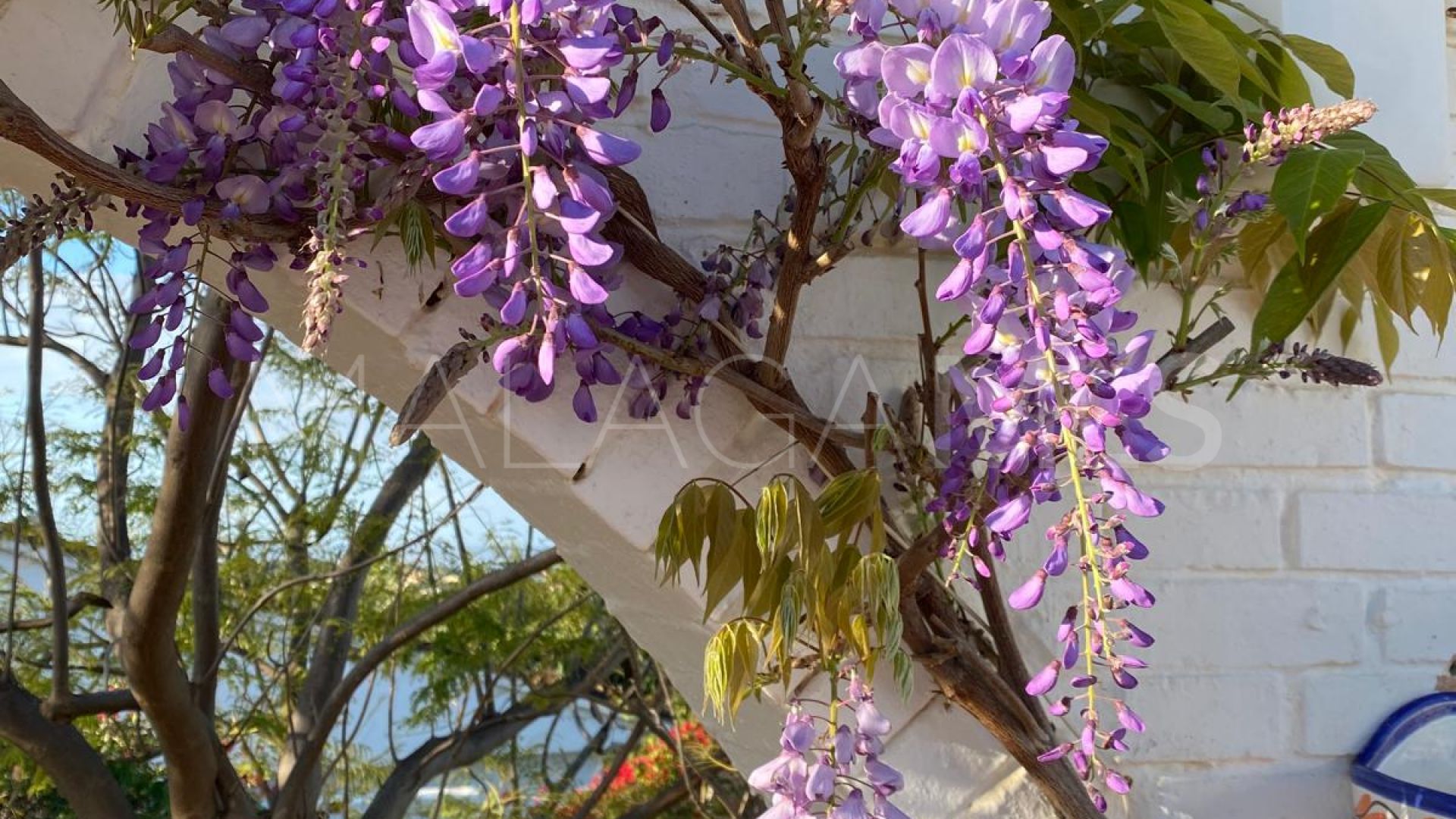 Villa for sale in Puerto Romano