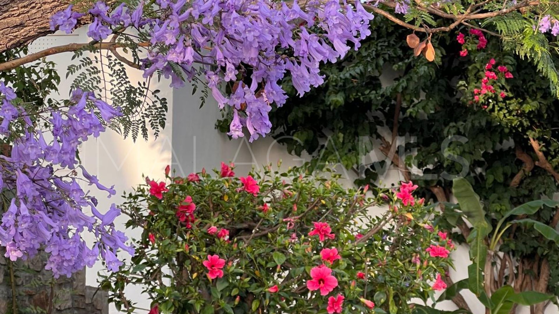 Villa for sale in Puerto Romano