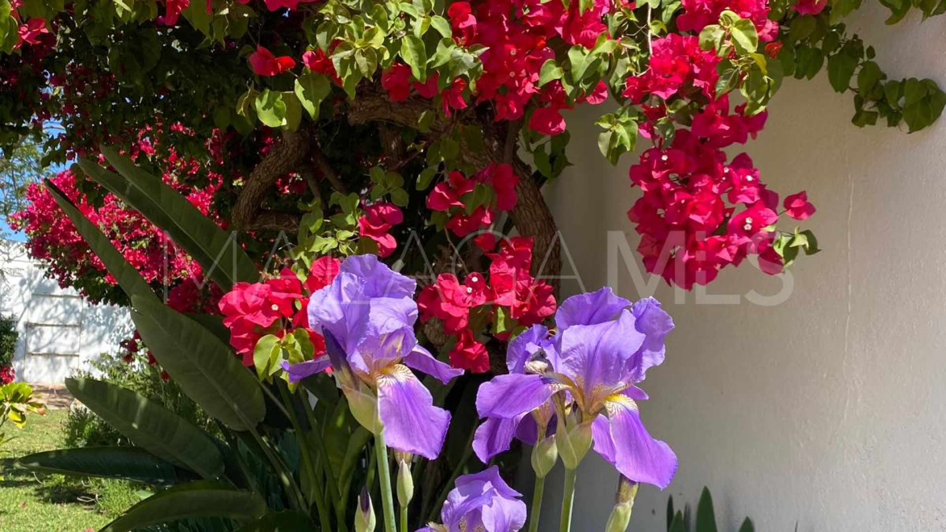 Villa for sale in Puerto Romano