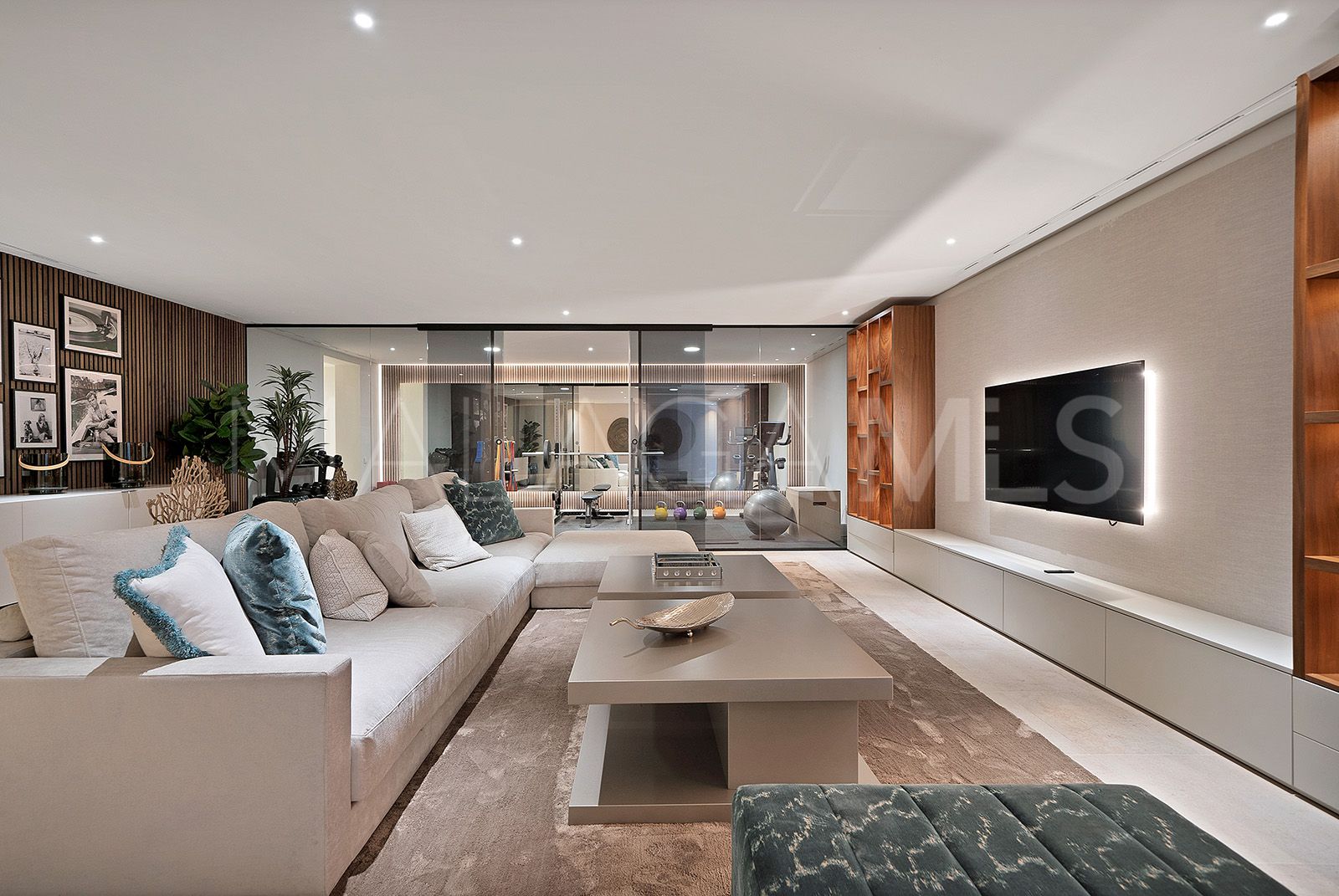 Villa for sale in Capanes Sur