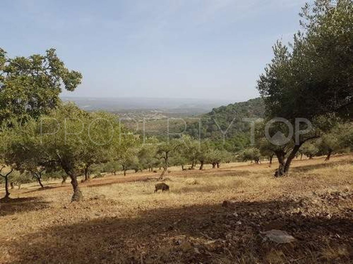 Country house for sale in Alcaracejos