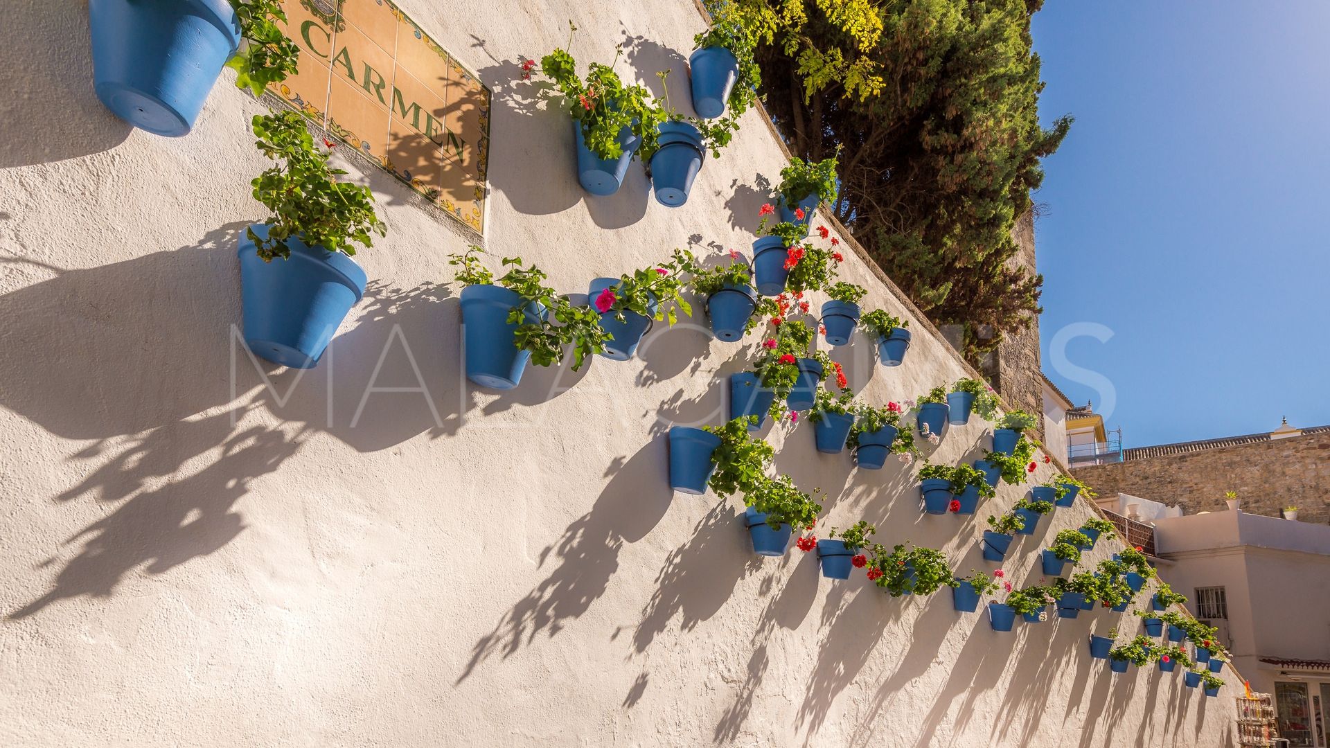 Villa for sale in Elviria