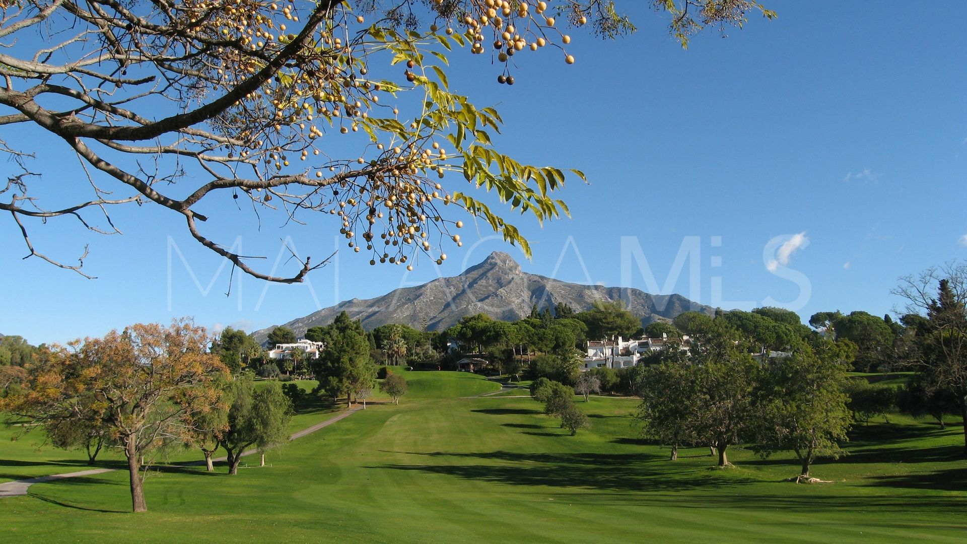 Villa for sale in Selwo
