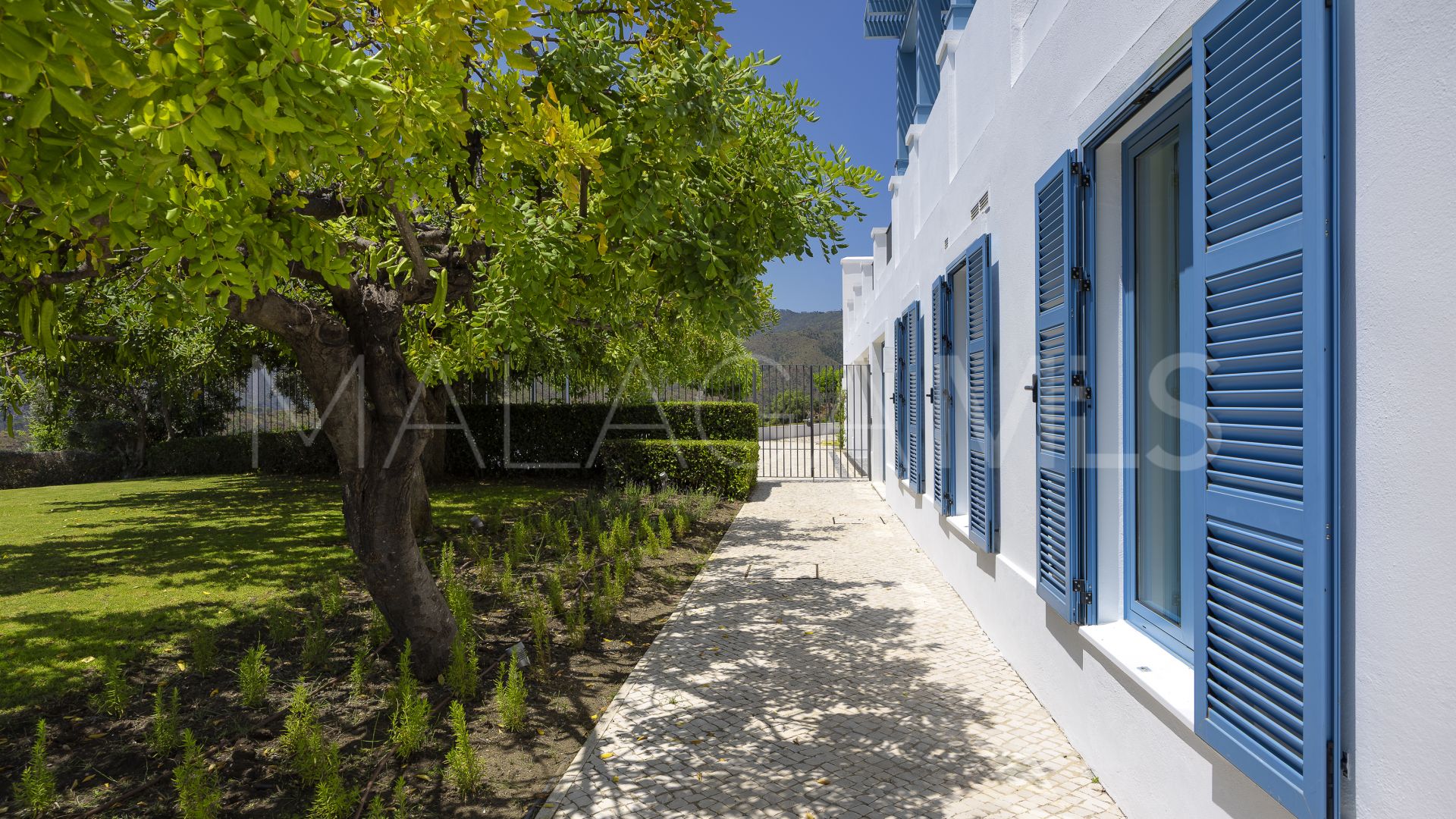 Buy villa de 5 bedrooms in Monte Mayor