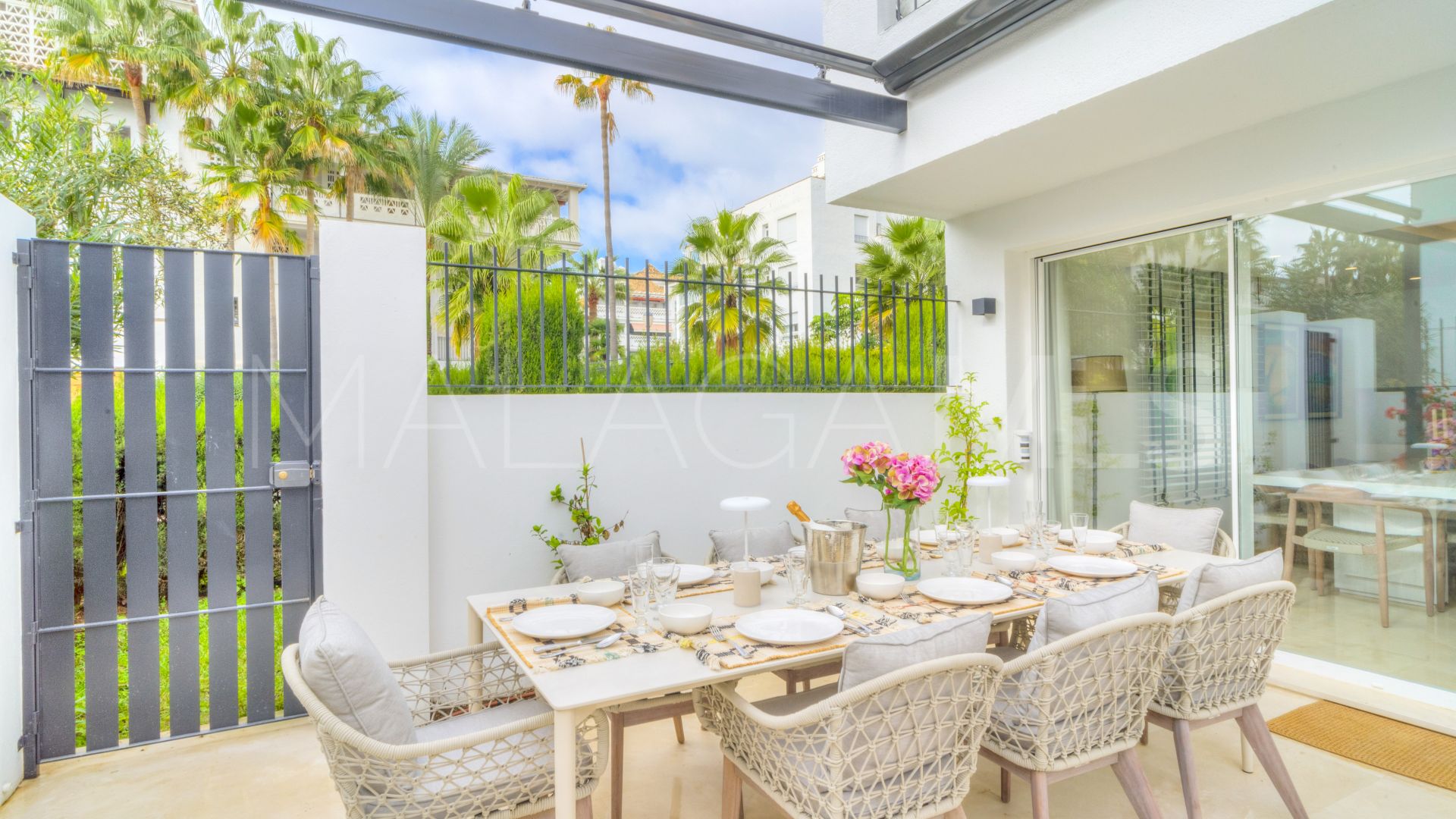 Buy pareado in Marbellamar