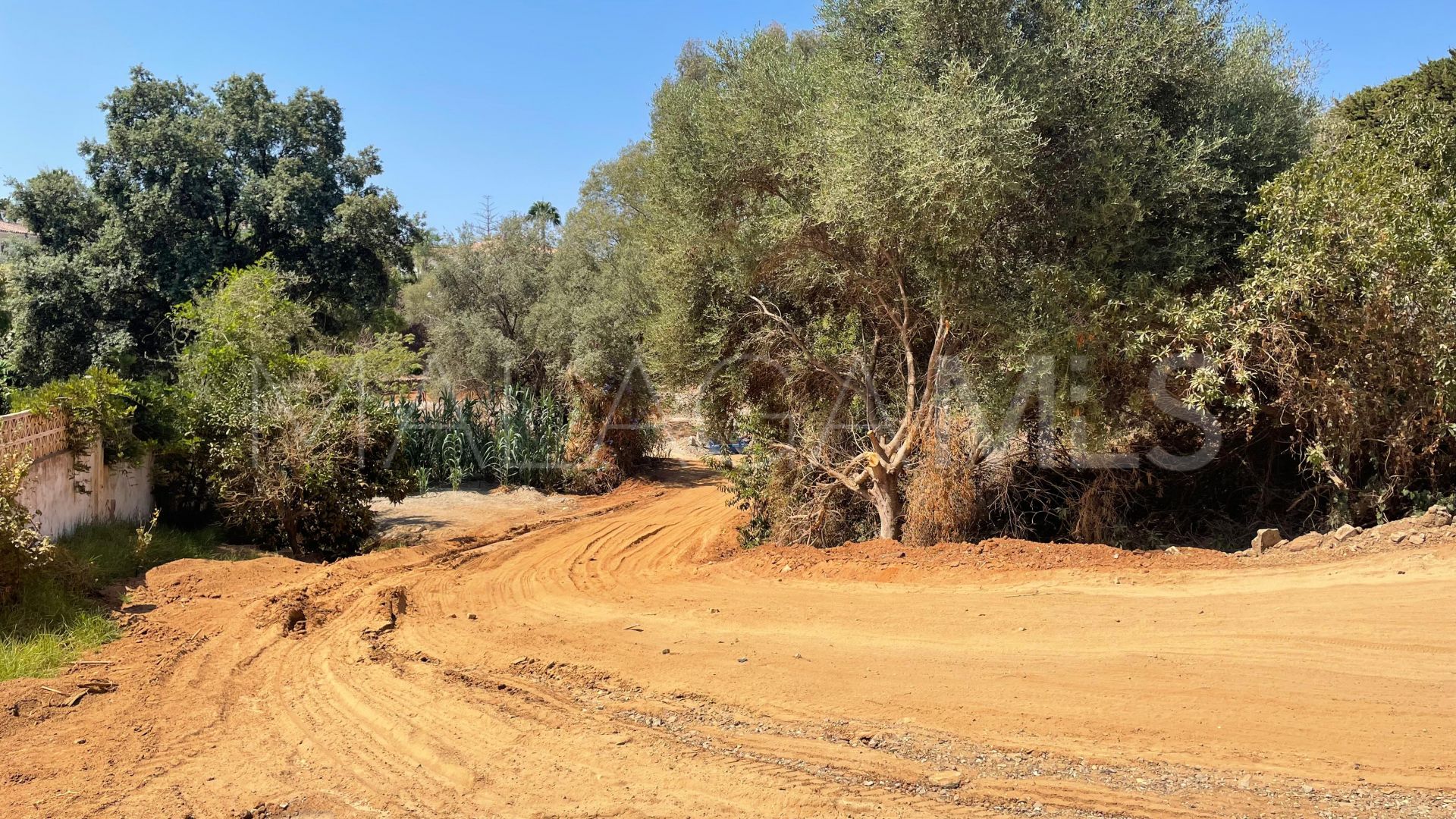 For sale plot in El Rosario