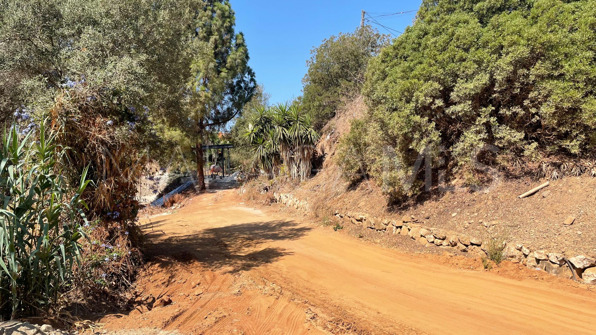 For sale plot in El Rosario