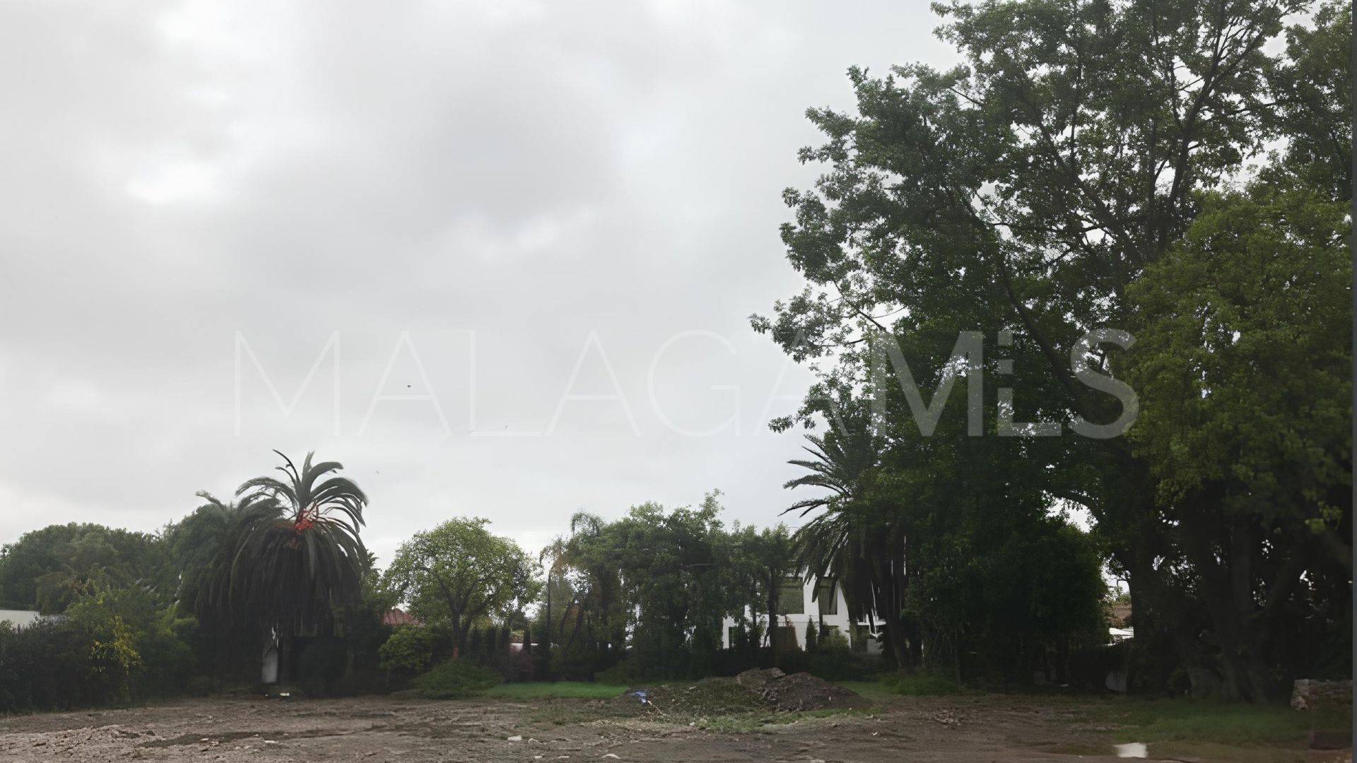 Terrain for sale in Casasola