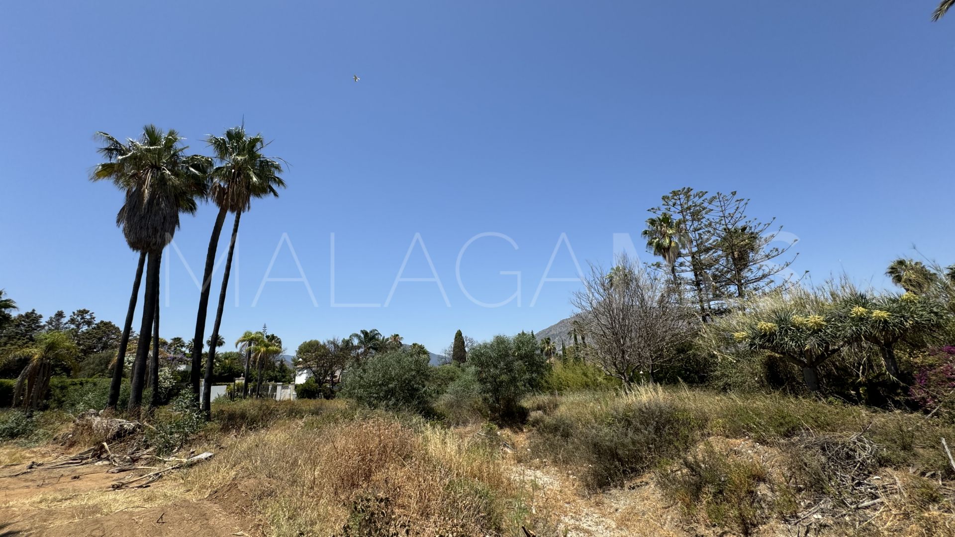 For sale plot in Atalaya de Rio Verde