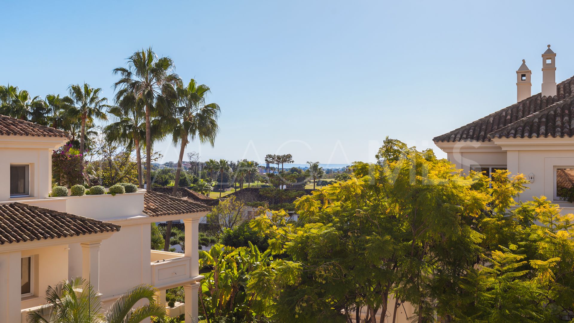 3 bedrooms duplex penthouse in Las Alamandas for sale