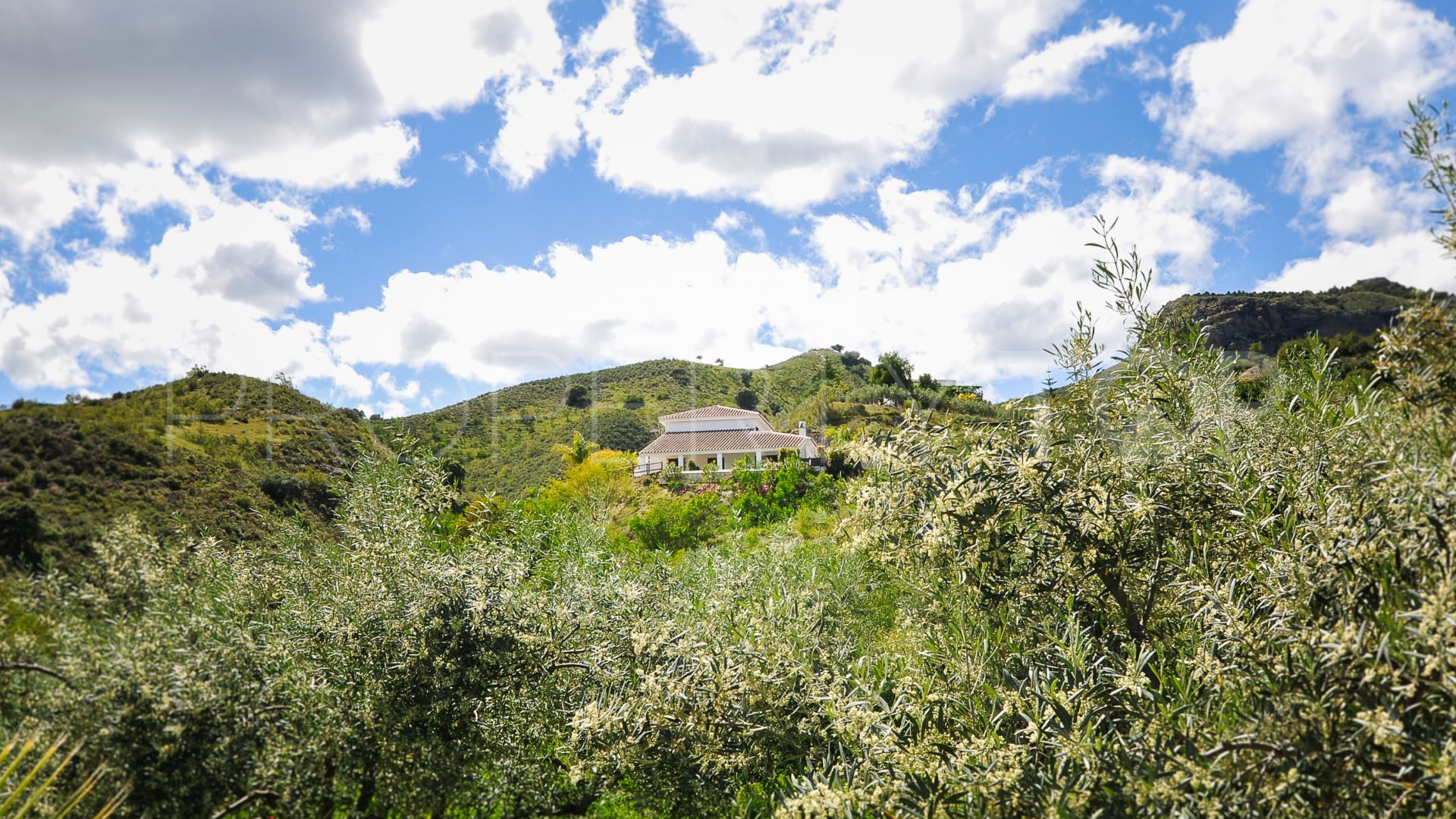 Alora, finca en venta con 4 dormitorios