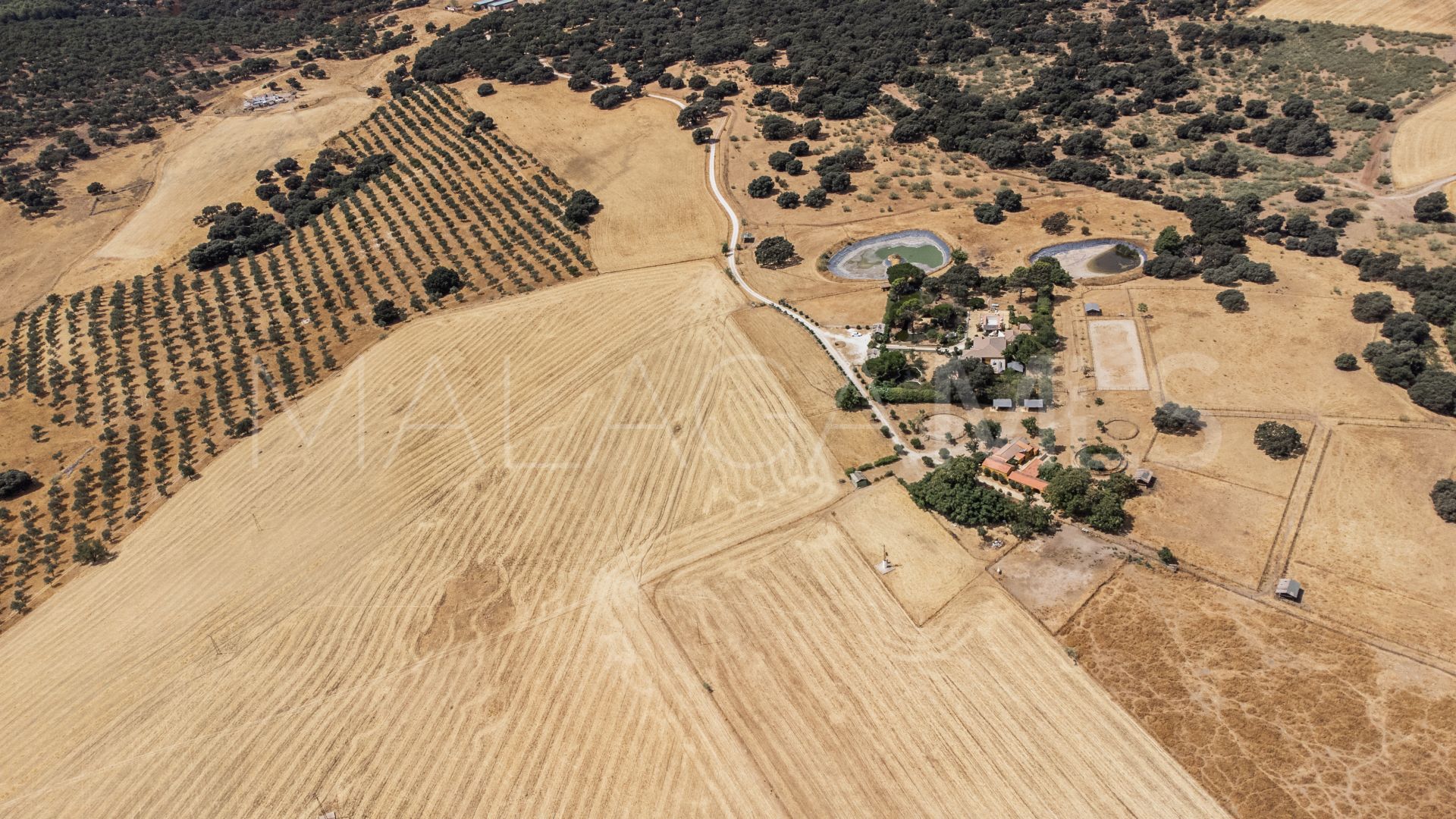 Ronda, cortijo for sale