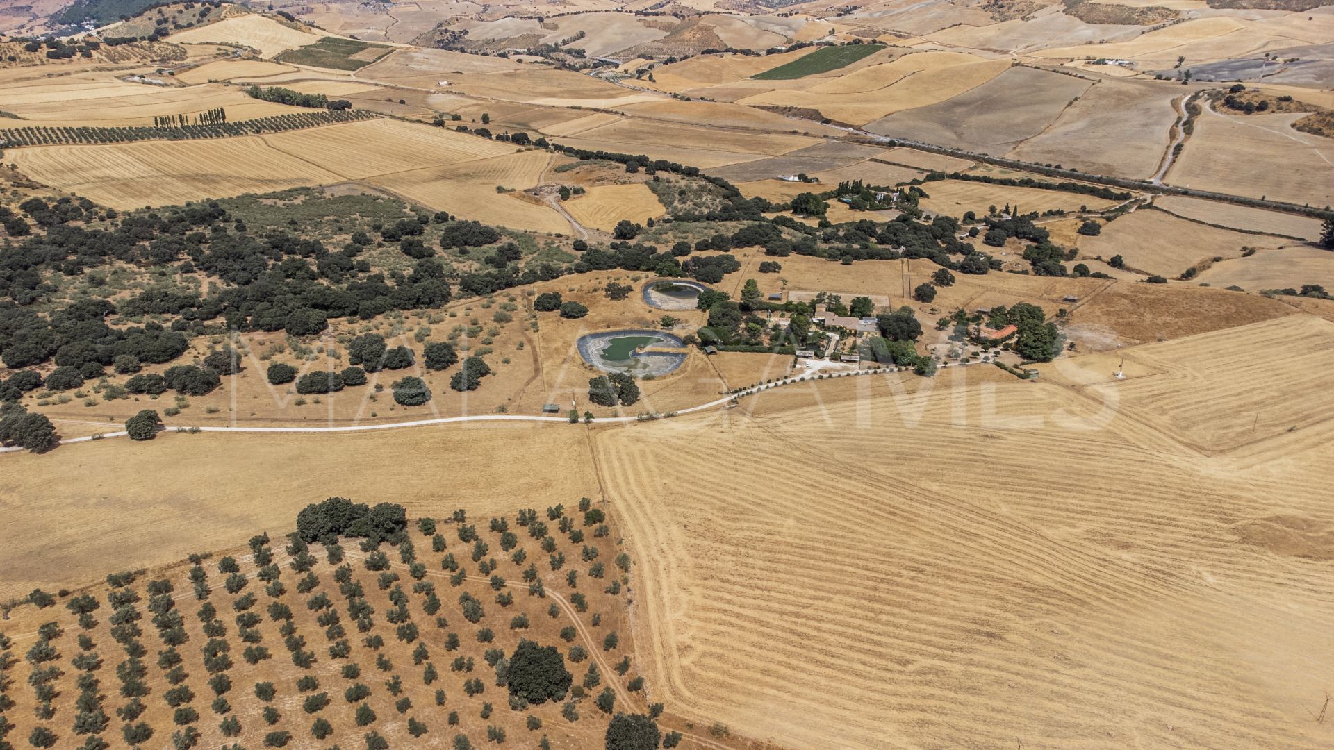 Ronda, cortijo for sale