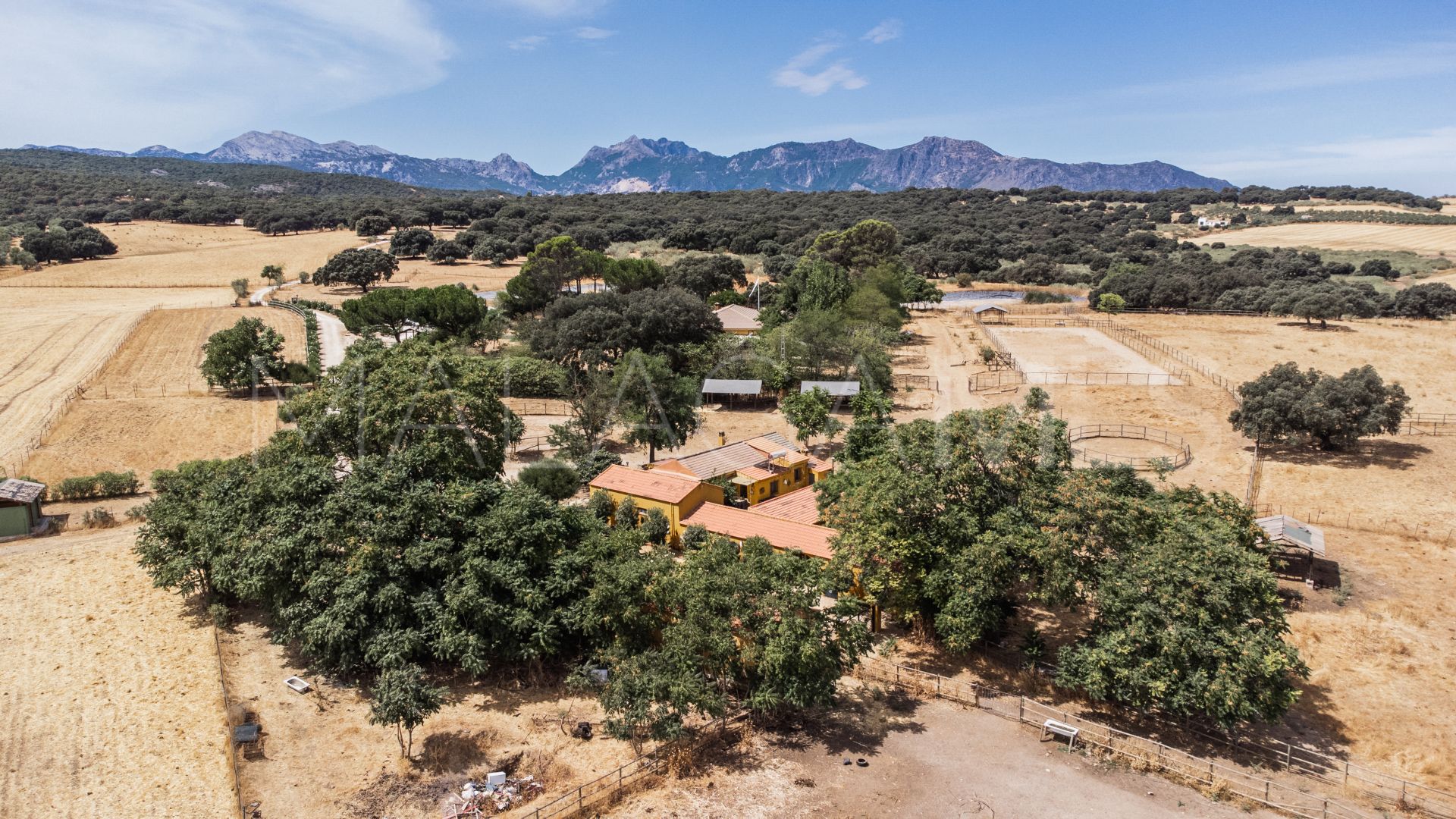 Ronda, cortijo for sale