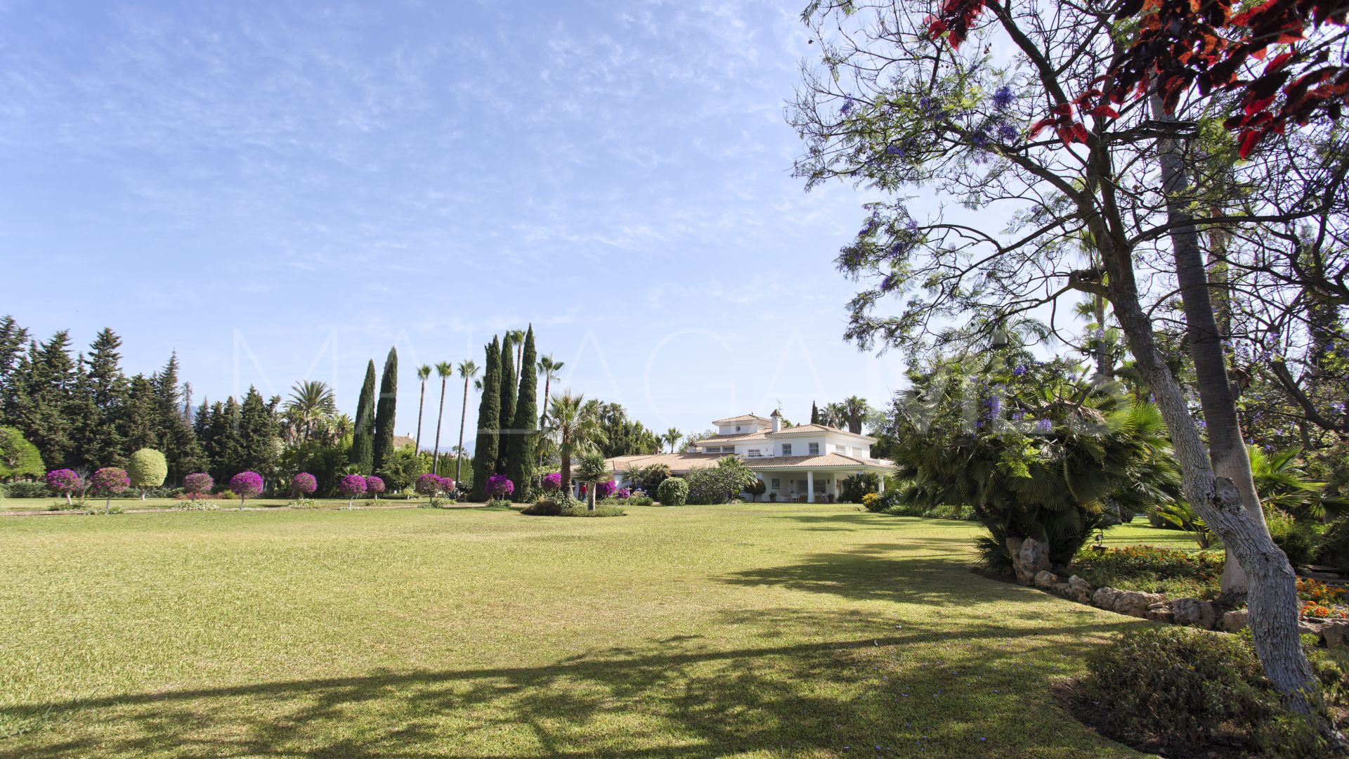 Villa for sale in Guadalmina Baja
