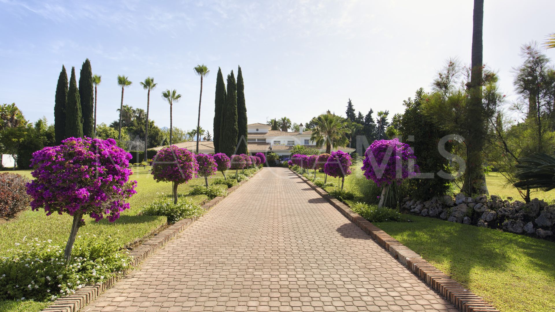 Villa for sale in Guadalmina Baja