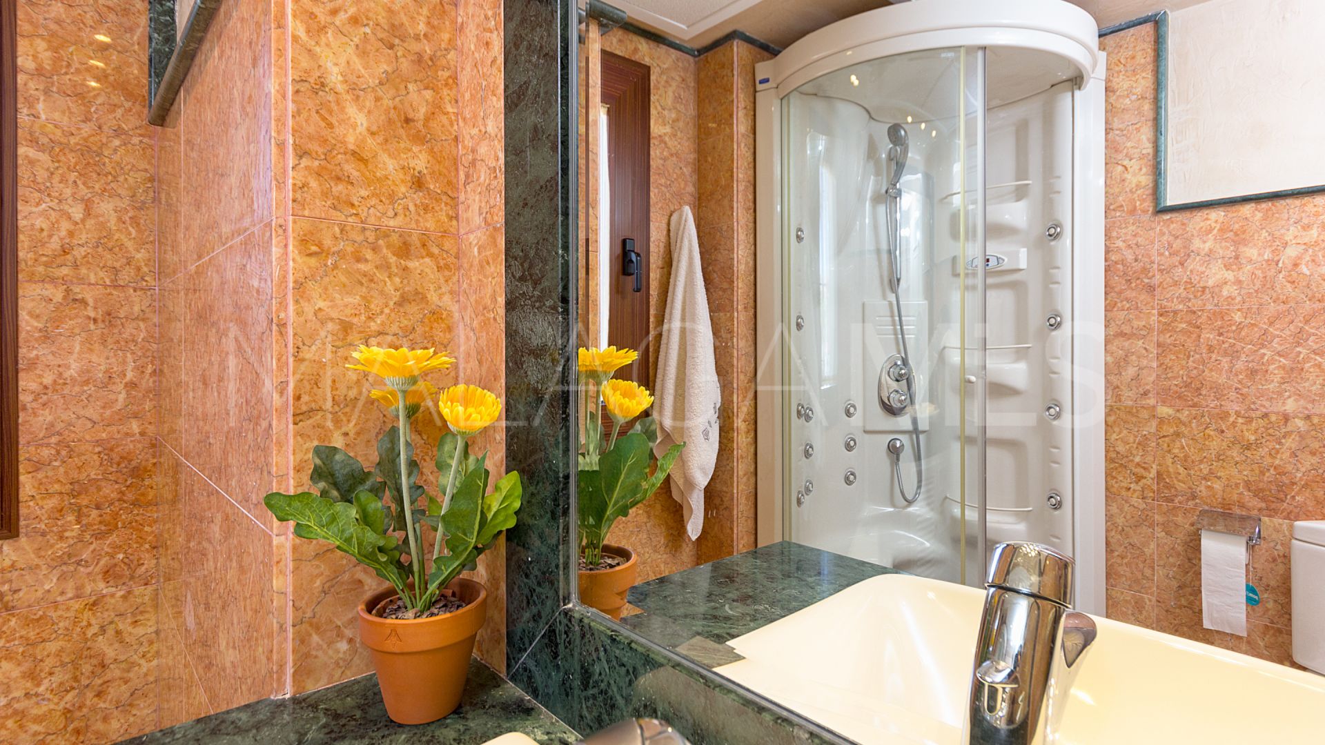 El Rosario 5 bedrooms villa for sale