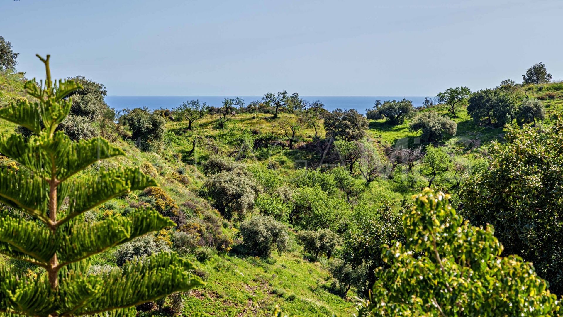 11 bedrooms Malaga - Este finca for sale