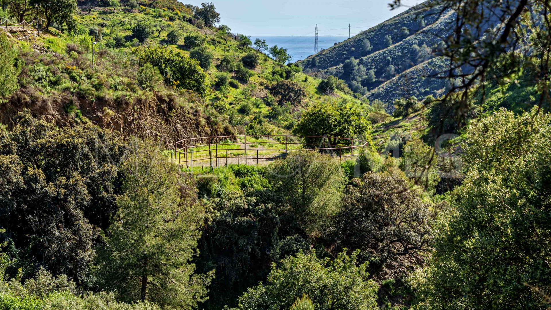 11 bedrooms Malaga - Este finca for sale