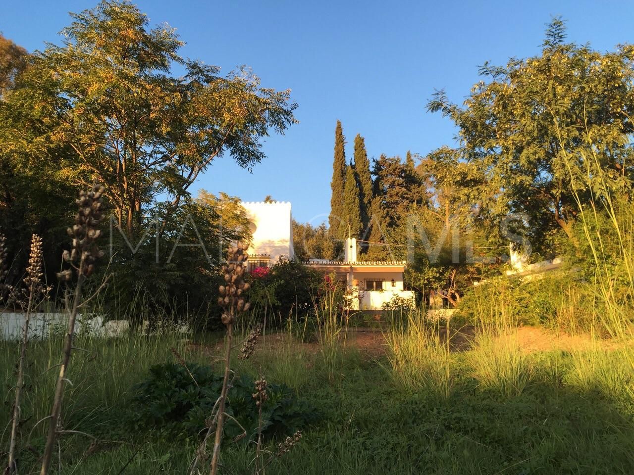 Ferme for sale in El Padron