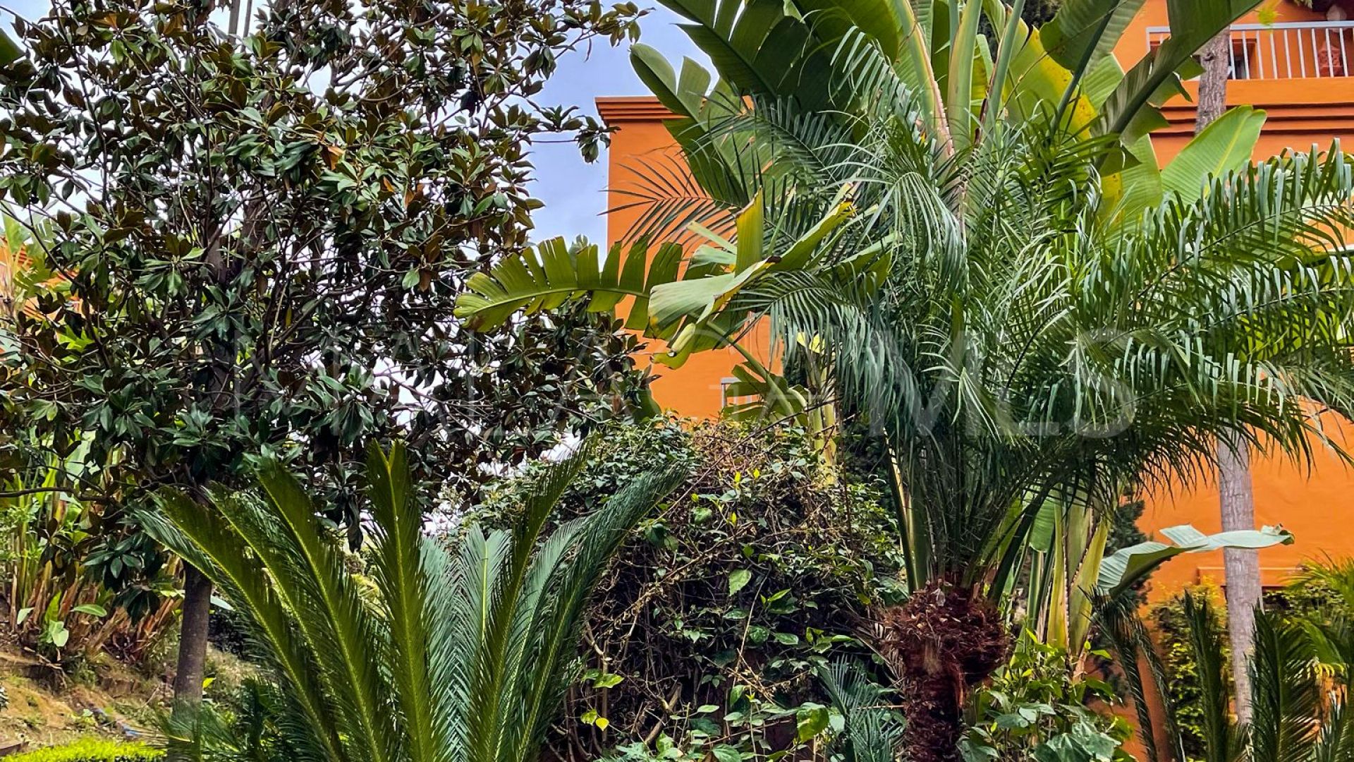 Markplanslägenhet for sale in Benatalaya