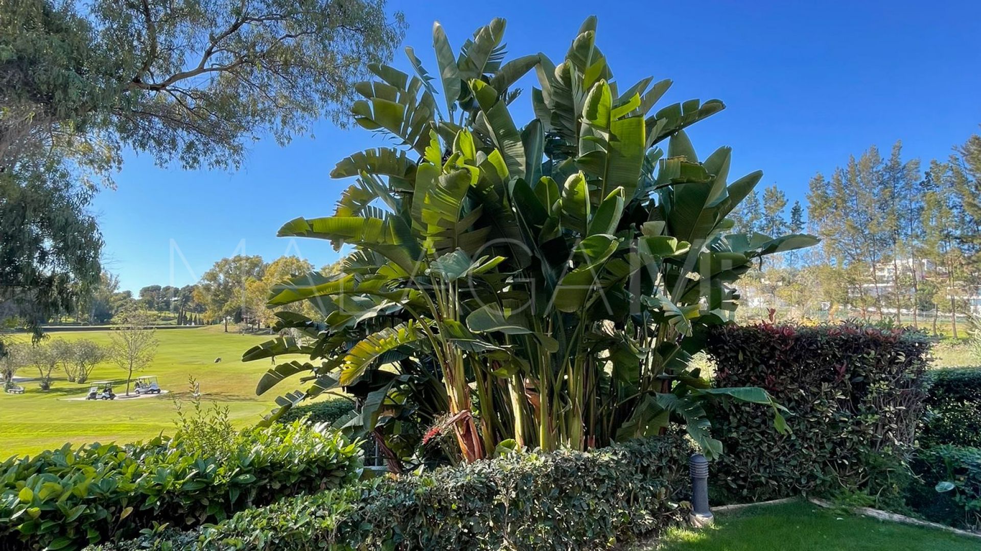 Markplanslägenhet for sale in Benatalaya