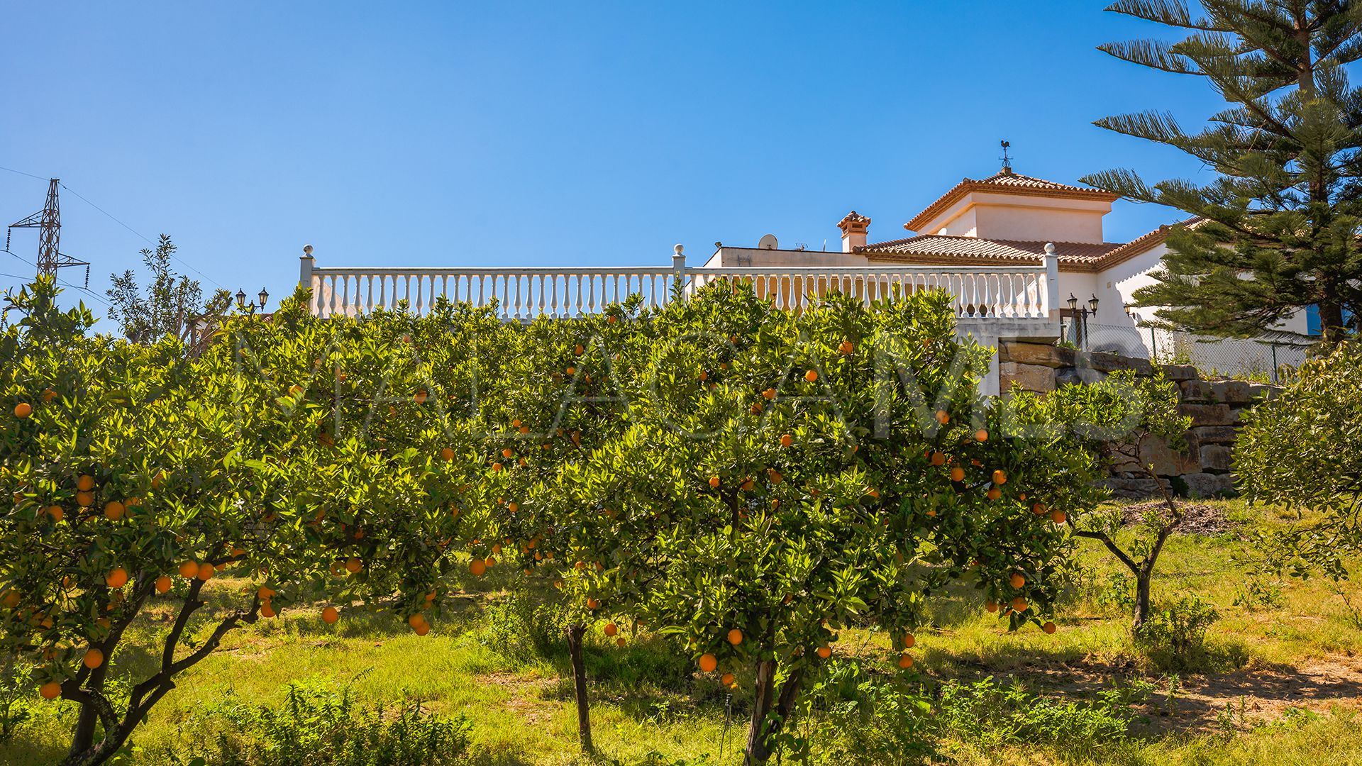 Finca for sale in El Padron