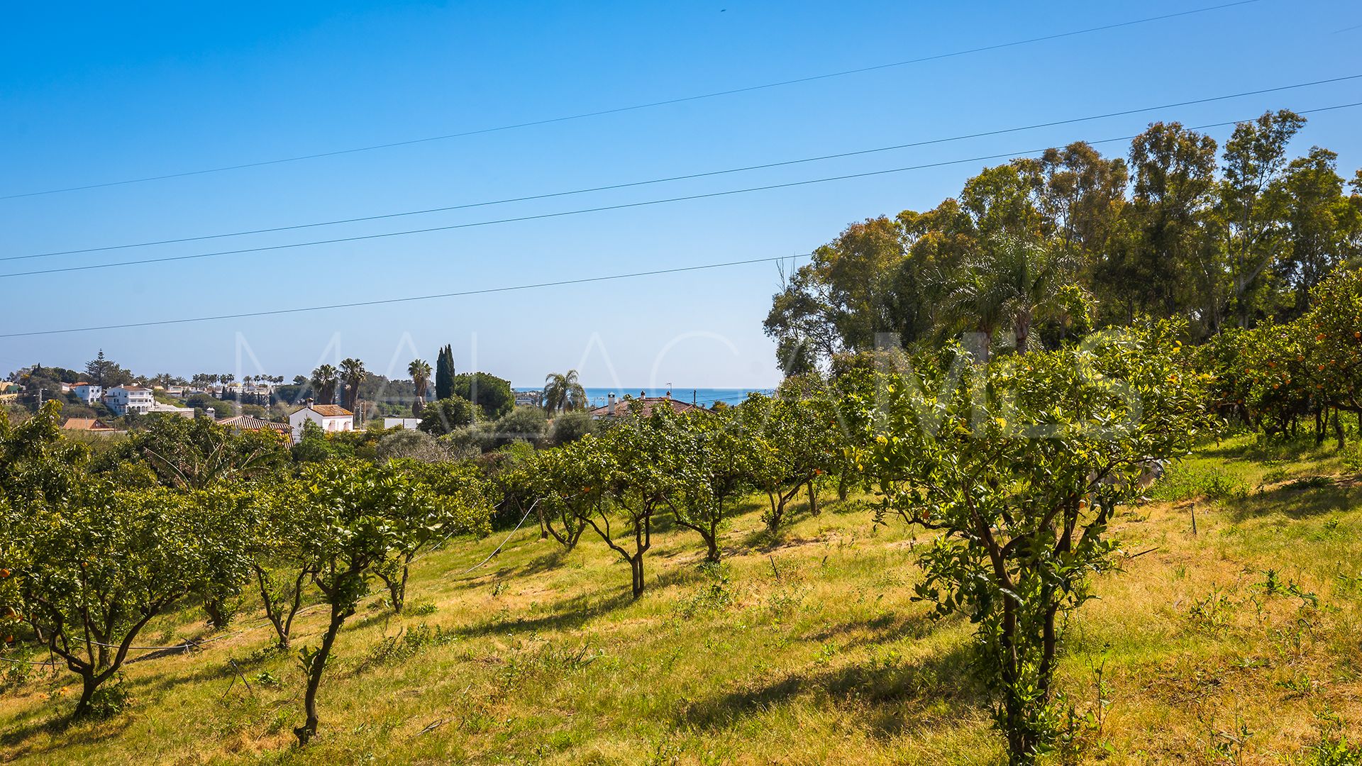 Finca for sale in El Padron