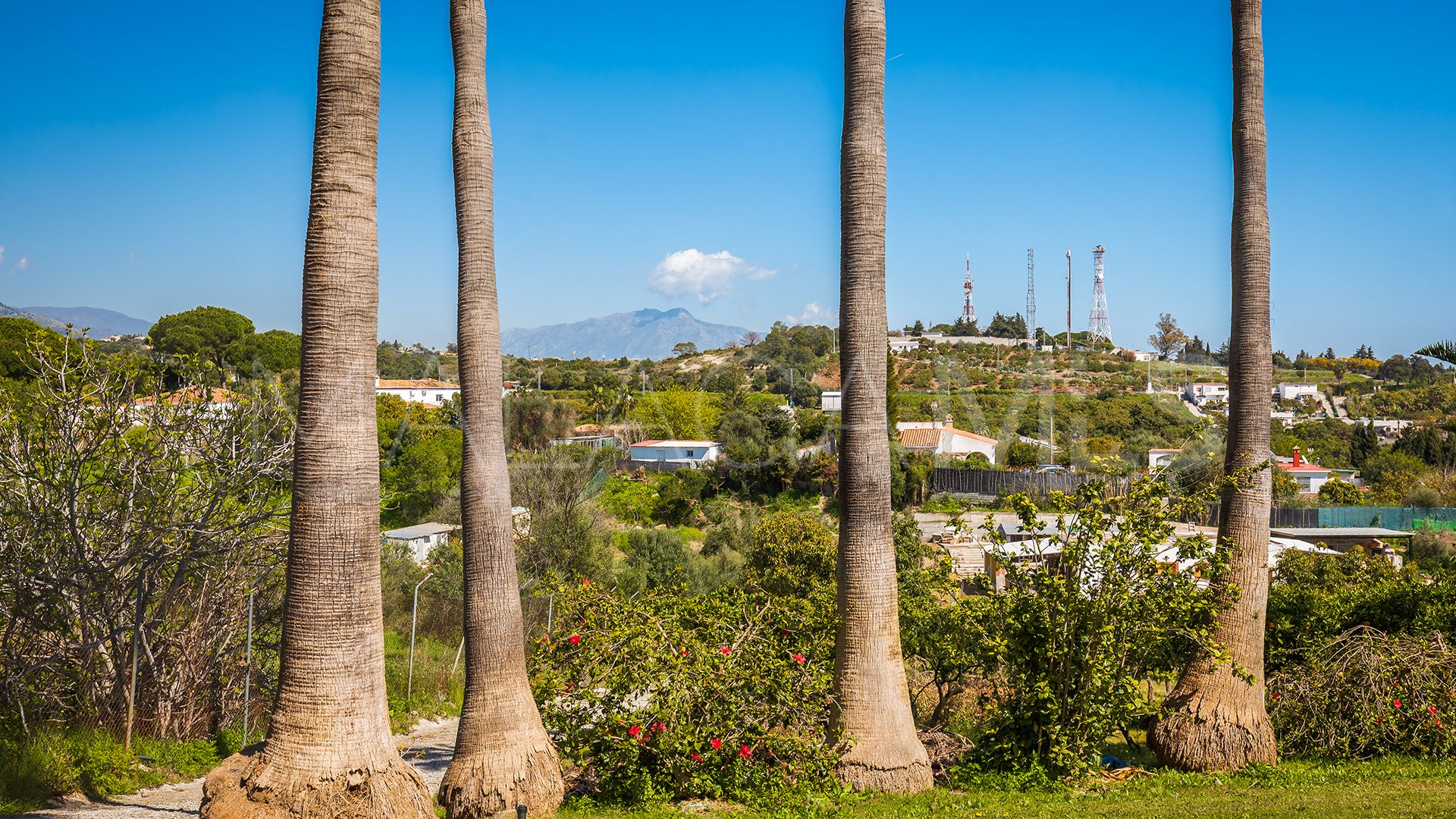 Finca for sale in El Padron