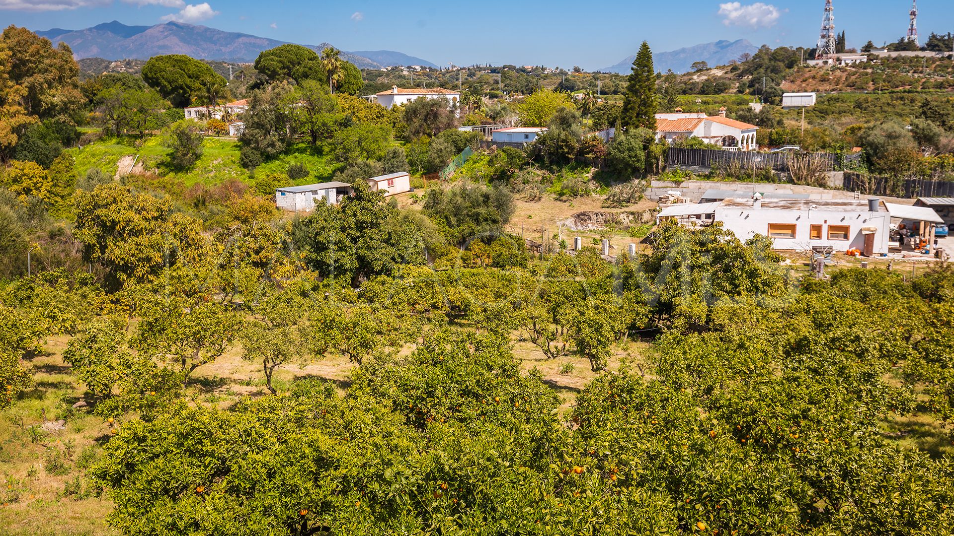 Finca for sale in El Padron