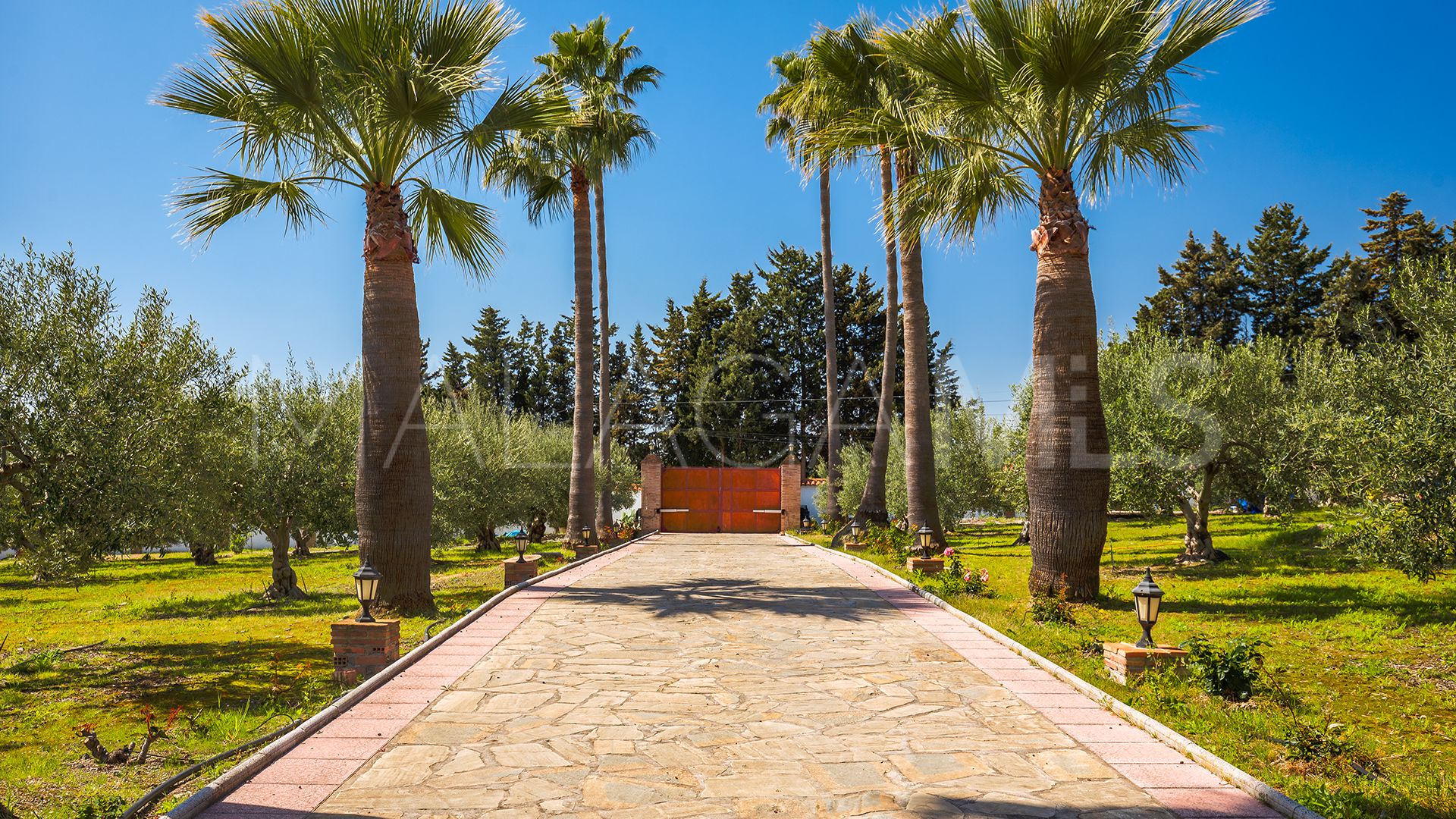 Finca for sale in El Padron