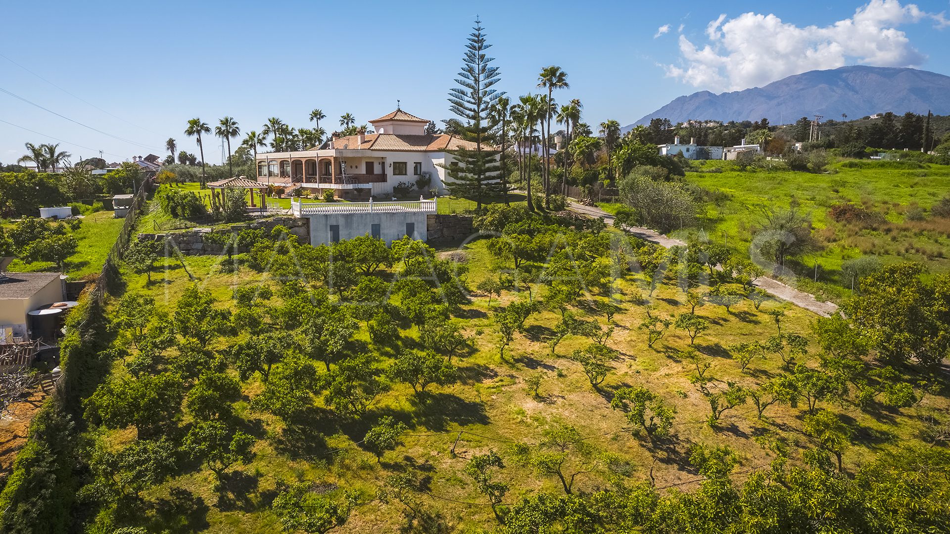 Finca for sale in El Padron