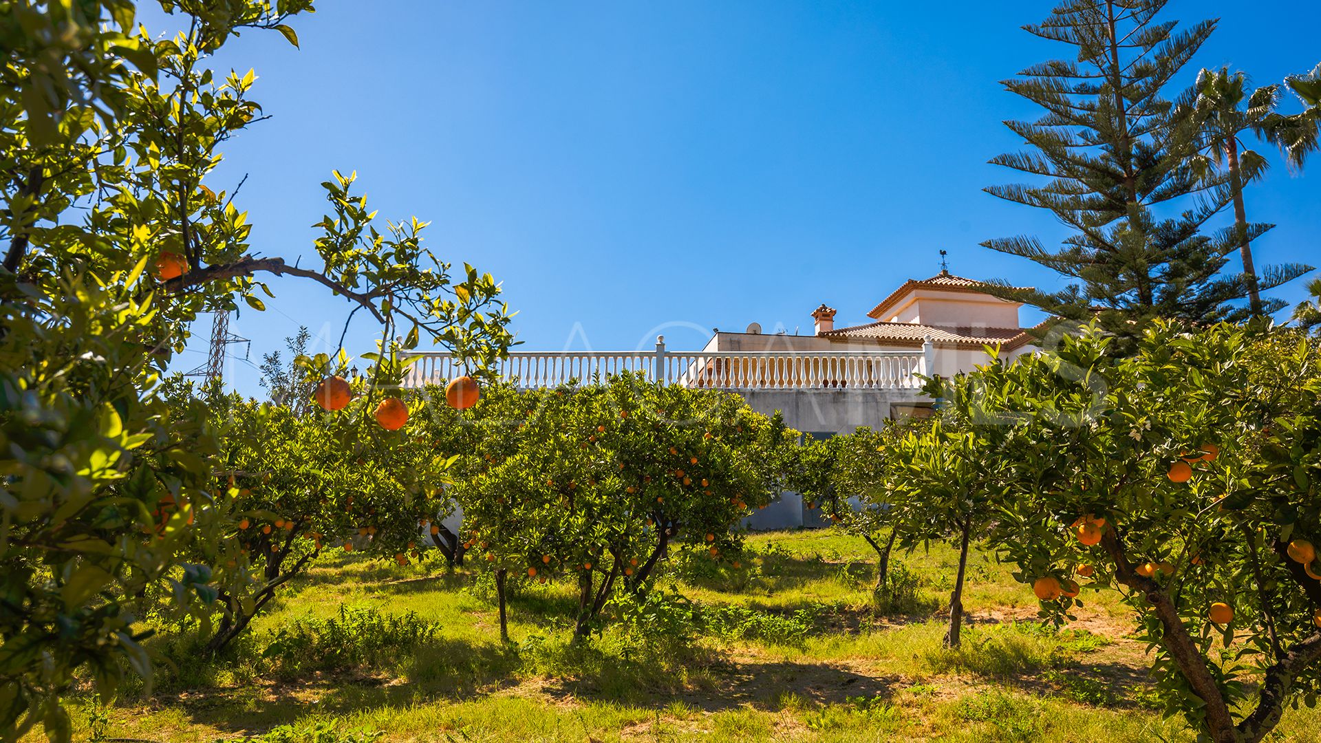 Finca for sale in El Padron