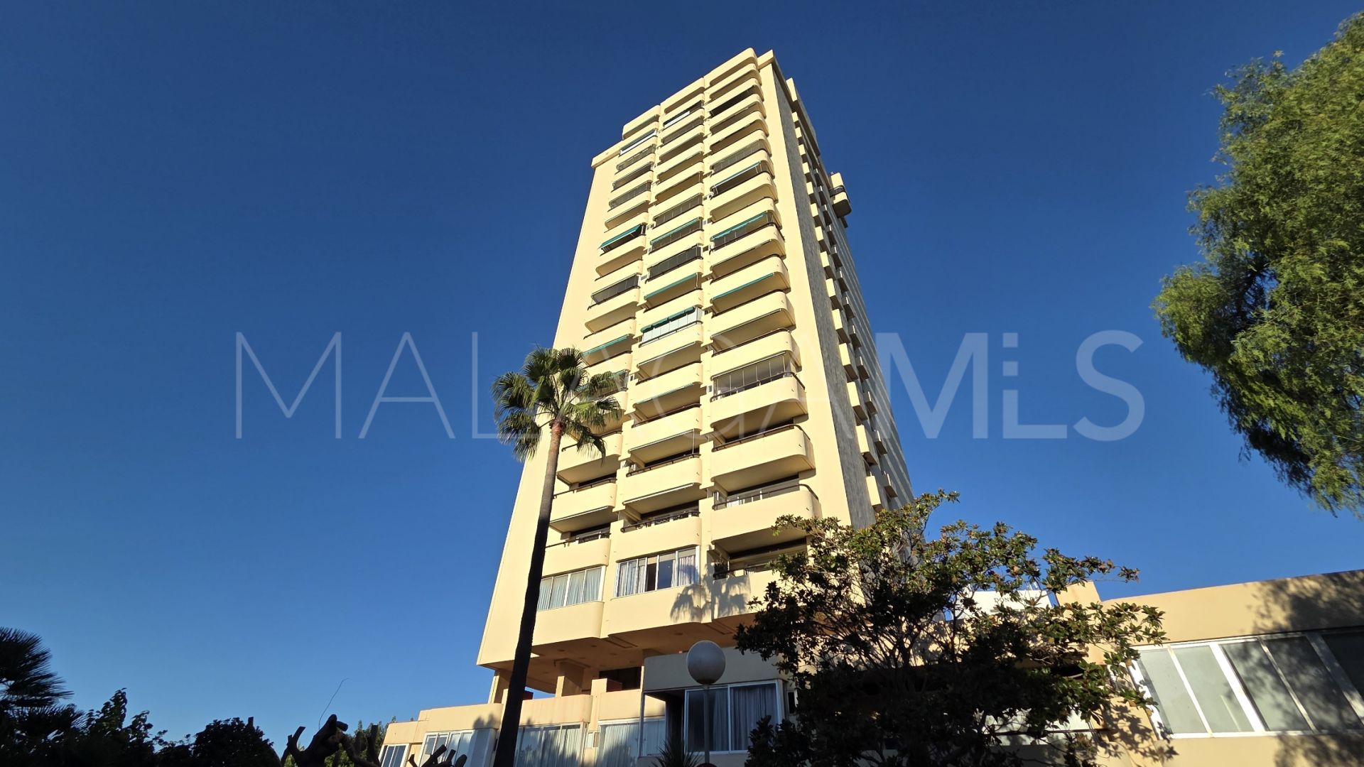 Studio in Don Carlos for sale