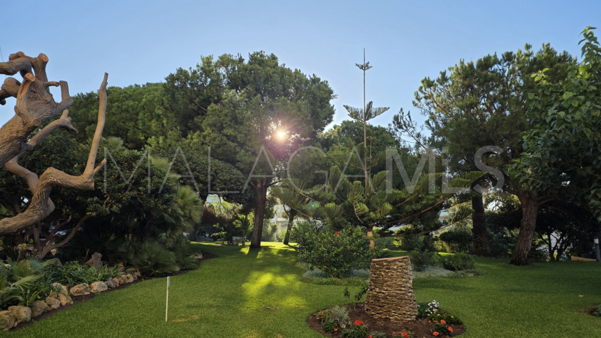 Studio in Don Carlos for sale