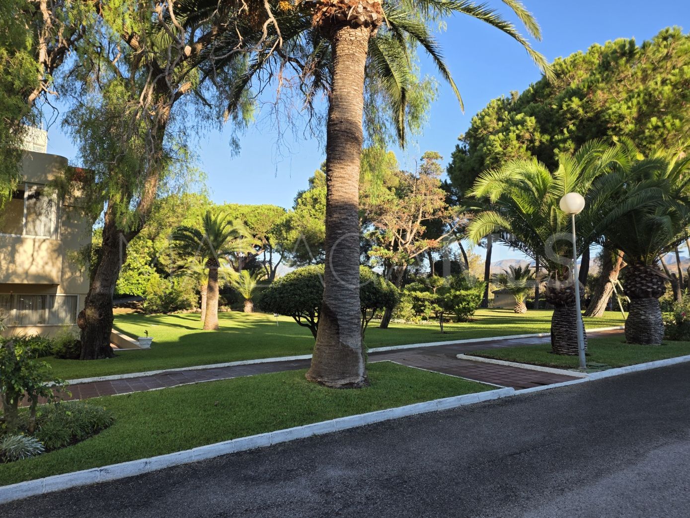 Studio in Don Carlos for sale