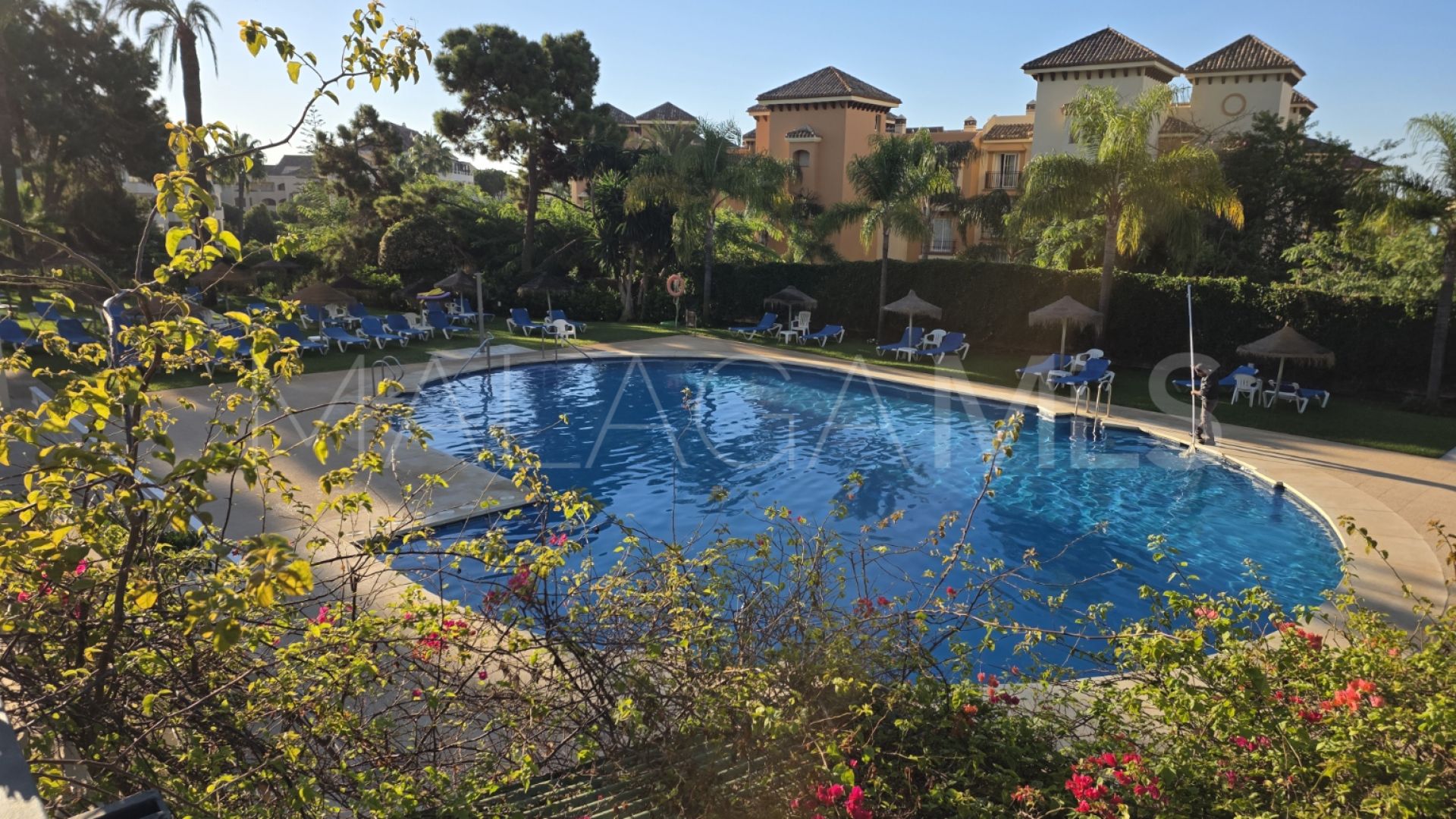 Studio in Don Carlos for sale