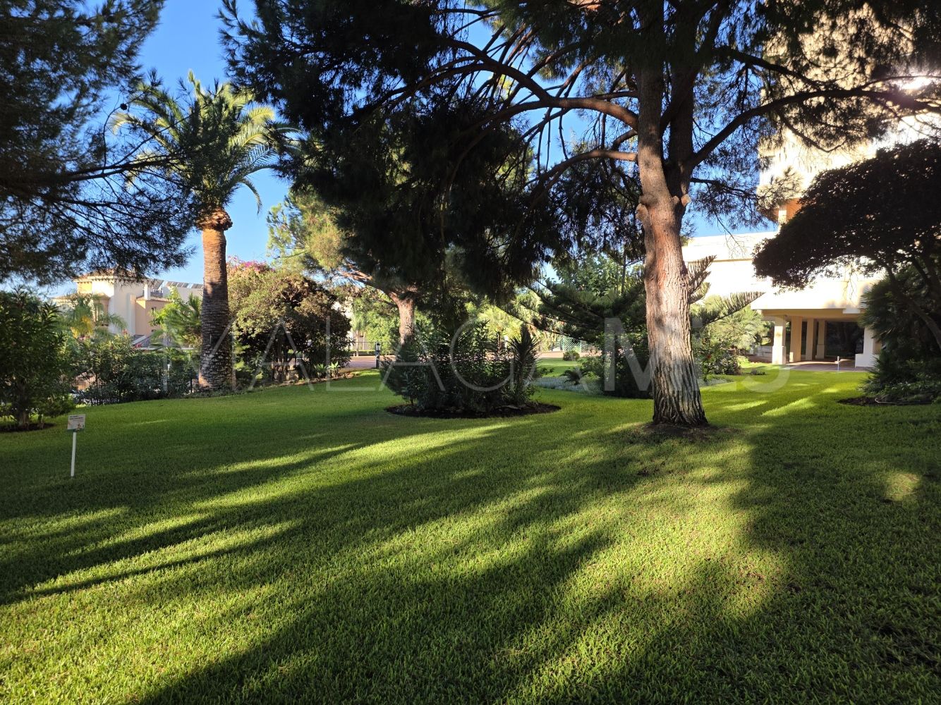 Studio in Don Carlos for sale
