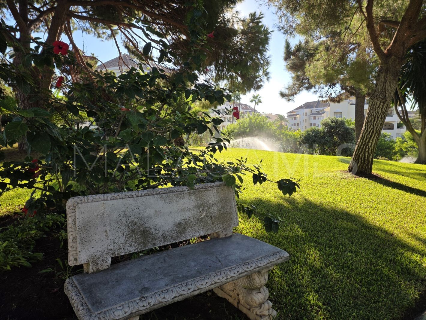 Studio in Don Carlos for sale