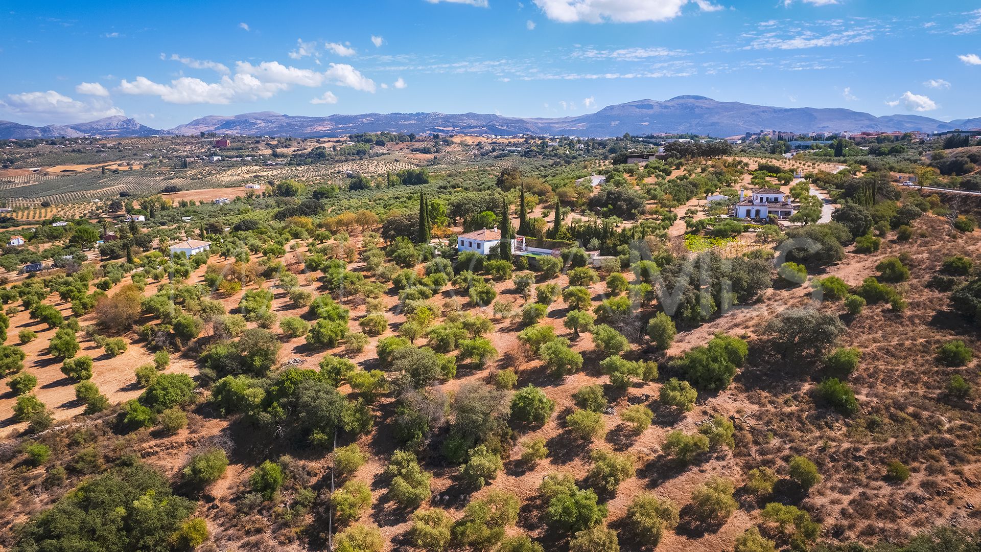 Finca for sale in Ronda