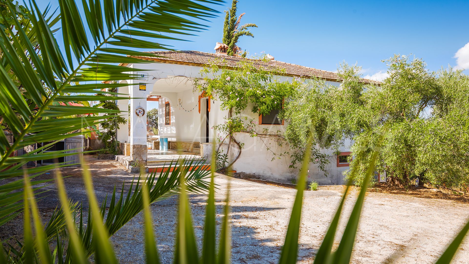 Finca for sale in Ronda